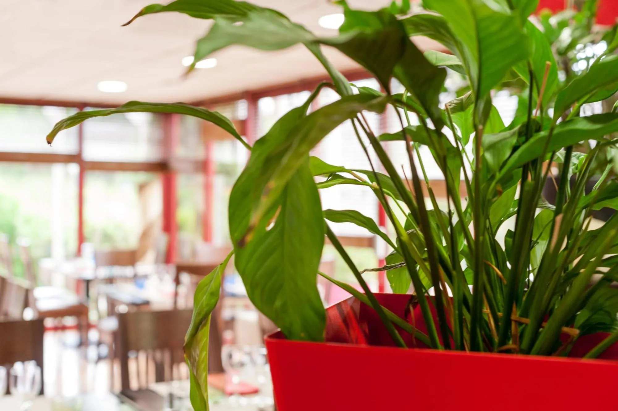 Restaurant/places to eat in The Originals City, Hôtel Éden, Rouen Nord