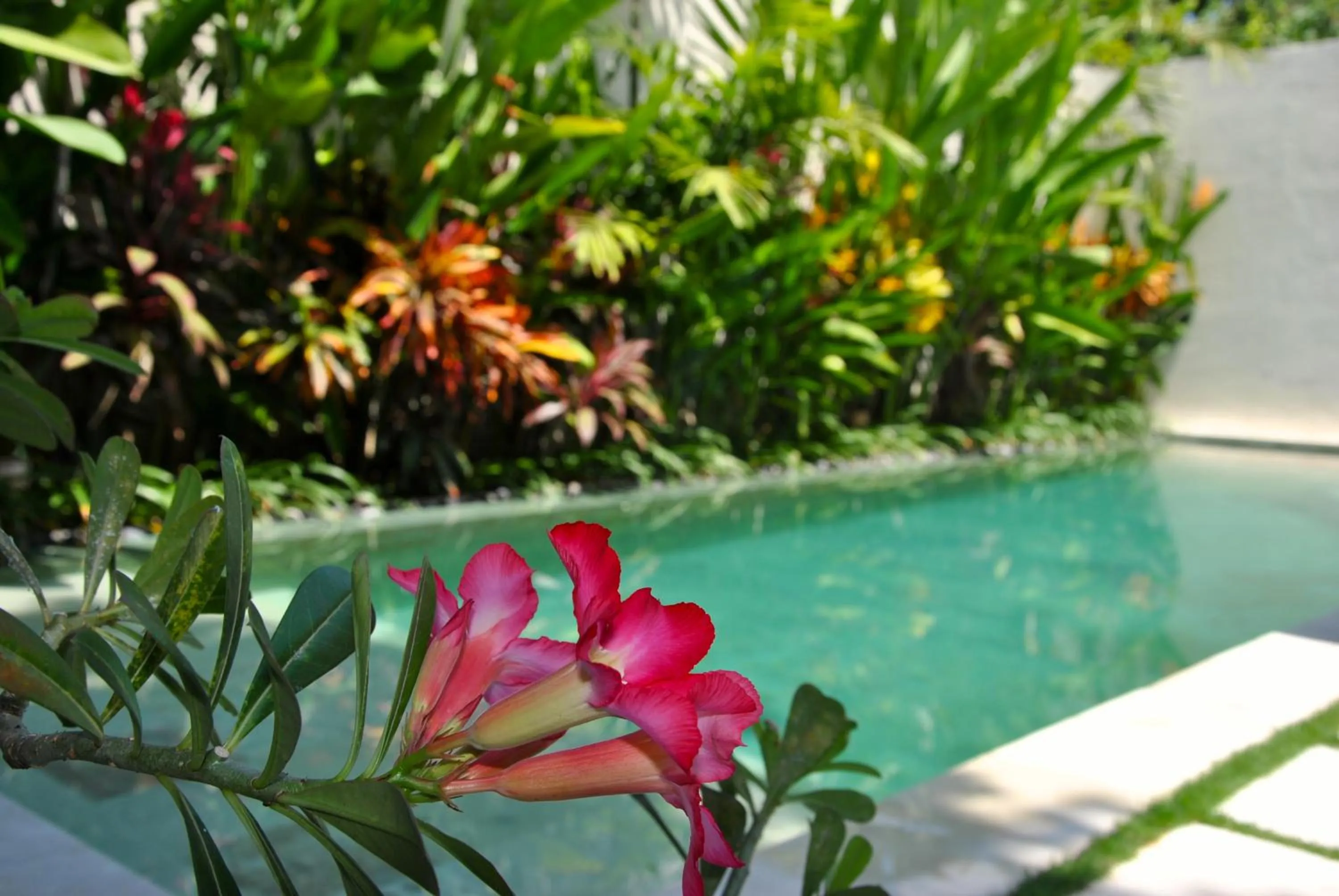 View (from property/room) in Villa Bali Asri Batubelig