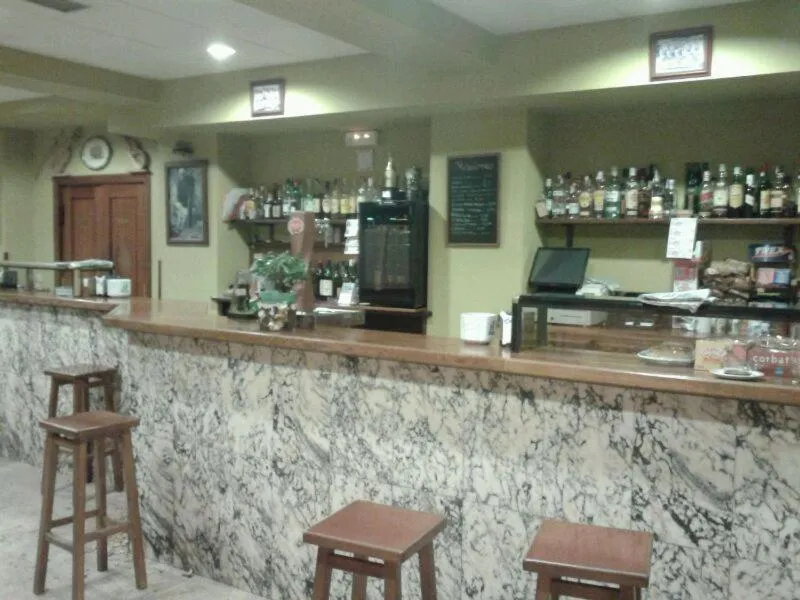 Lounge or bar in Hotel Narcea