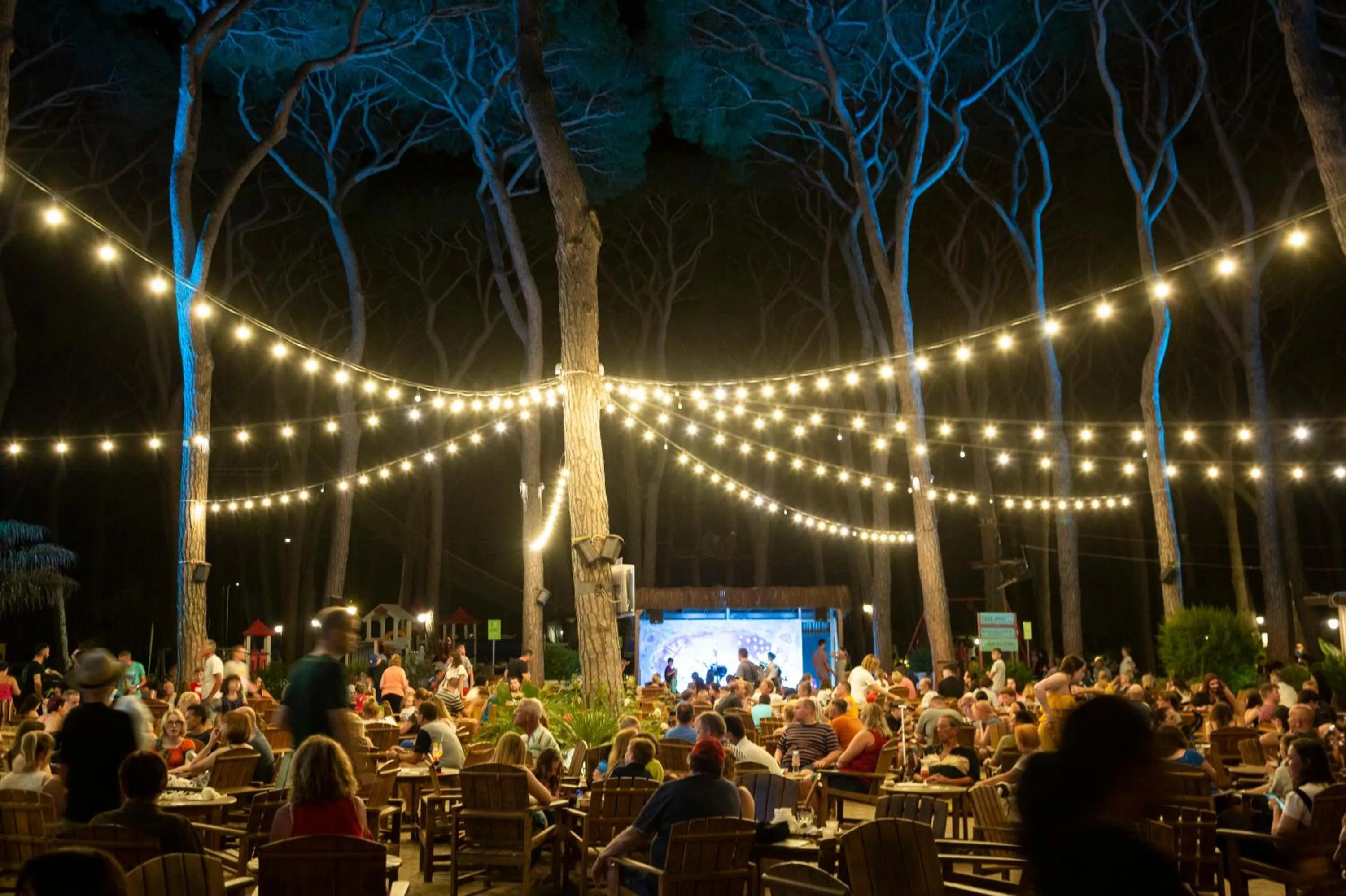 Evening entertainment in Hotel Il Mulinaccio