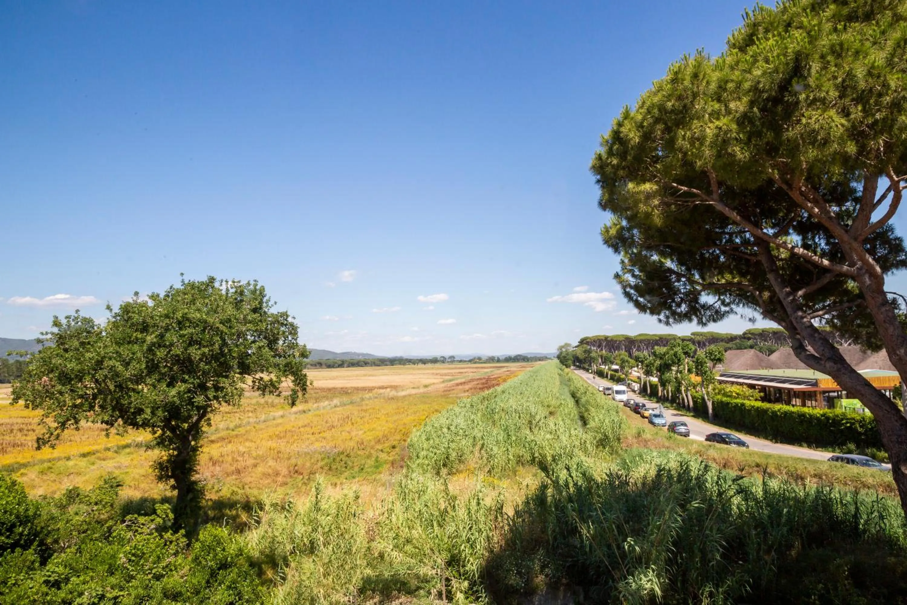 Natural landscape in Hotel Il Mulinaccio