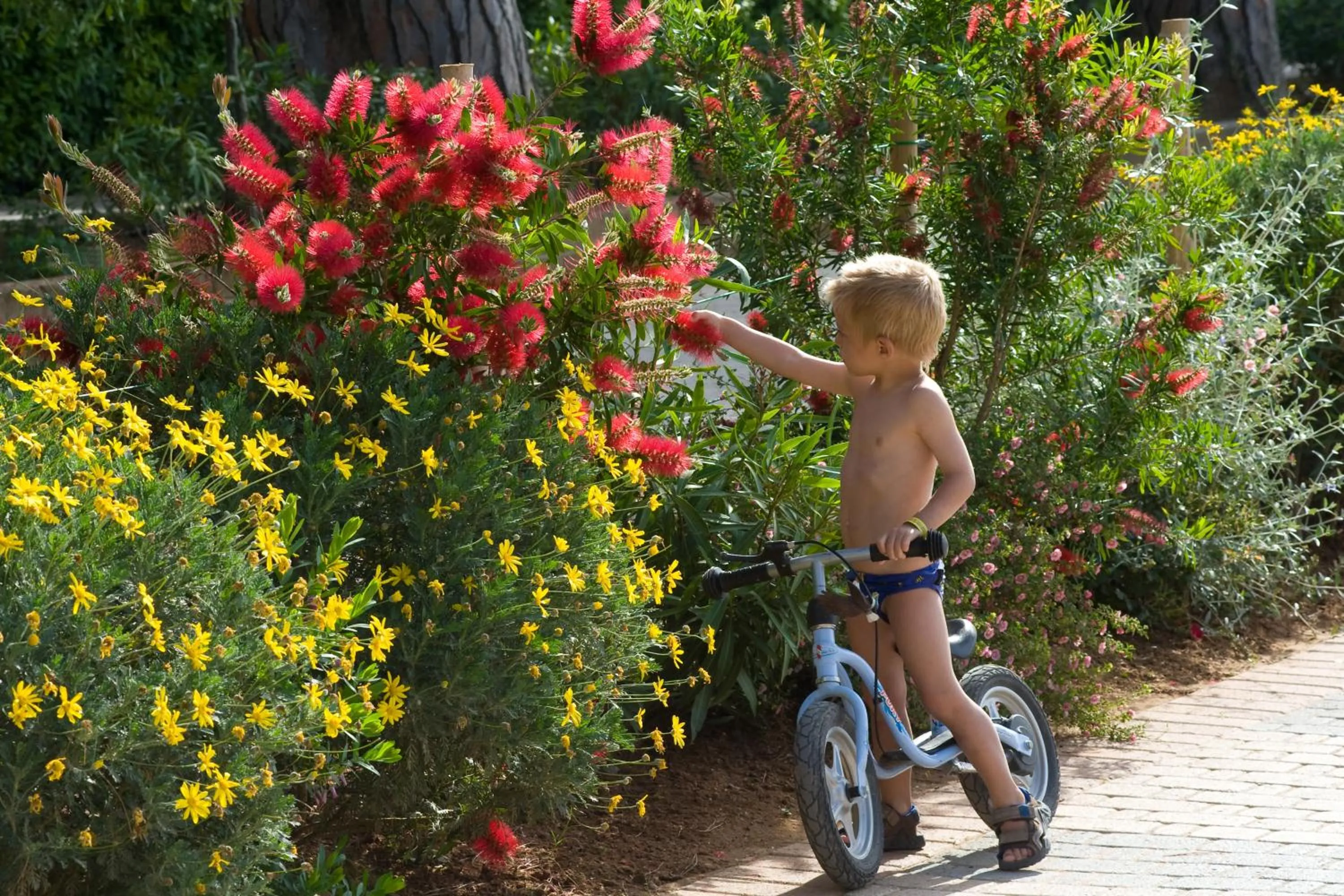 Decorative detail in Hotel Il Mulinaccio