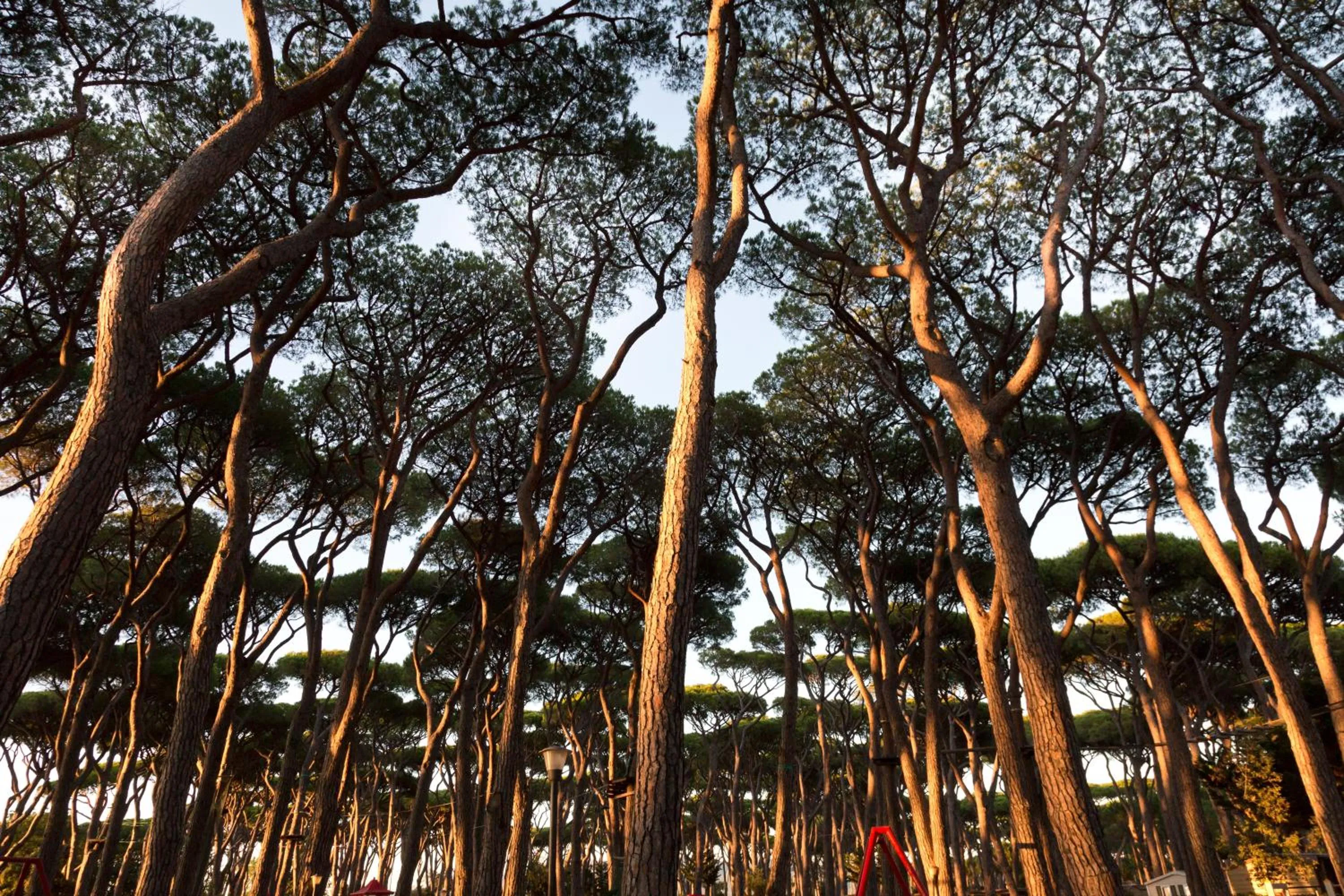 Other in Hotel Il Mulinaccio