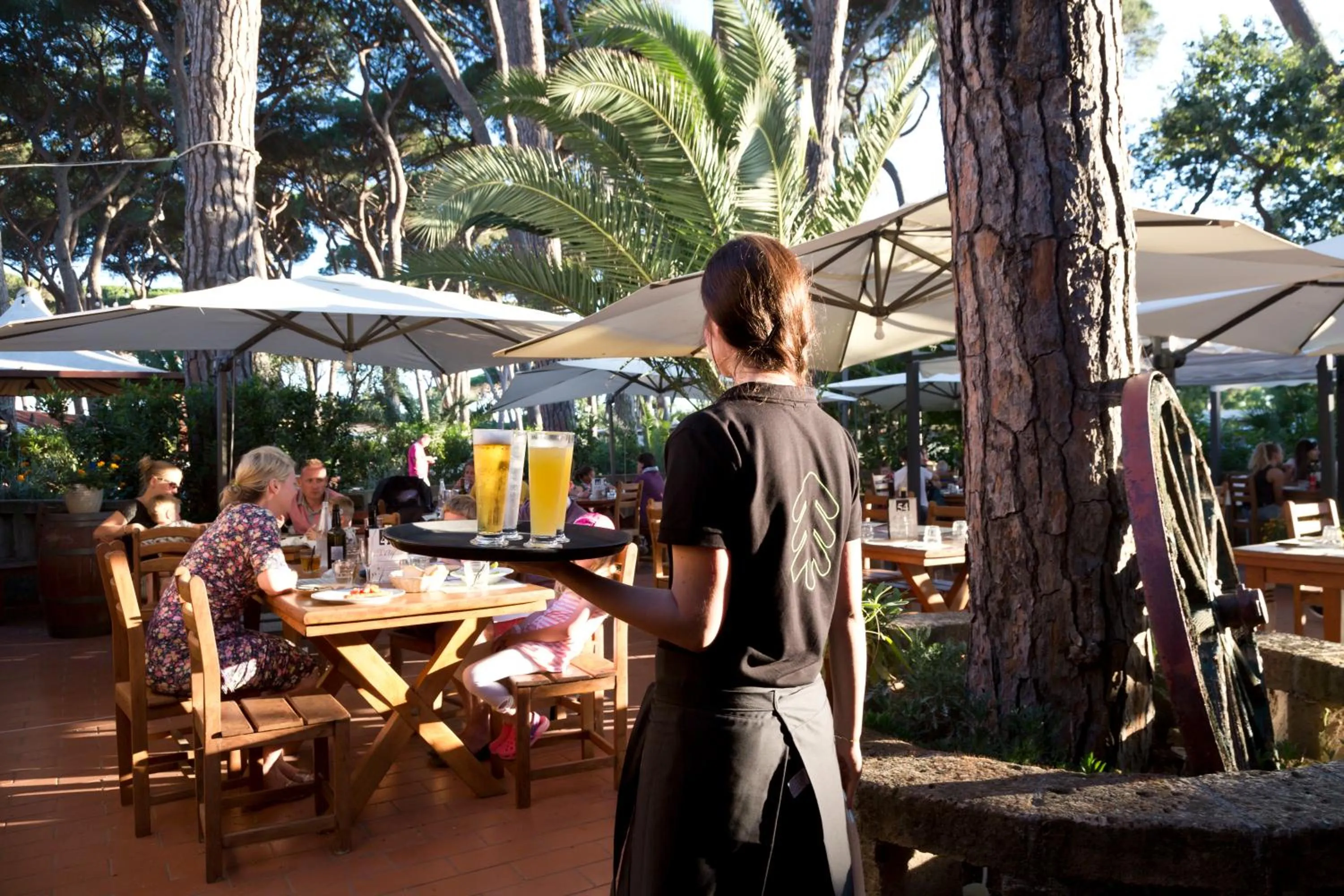 Restaurant/places to eat in Hotel Il Mulinaccio