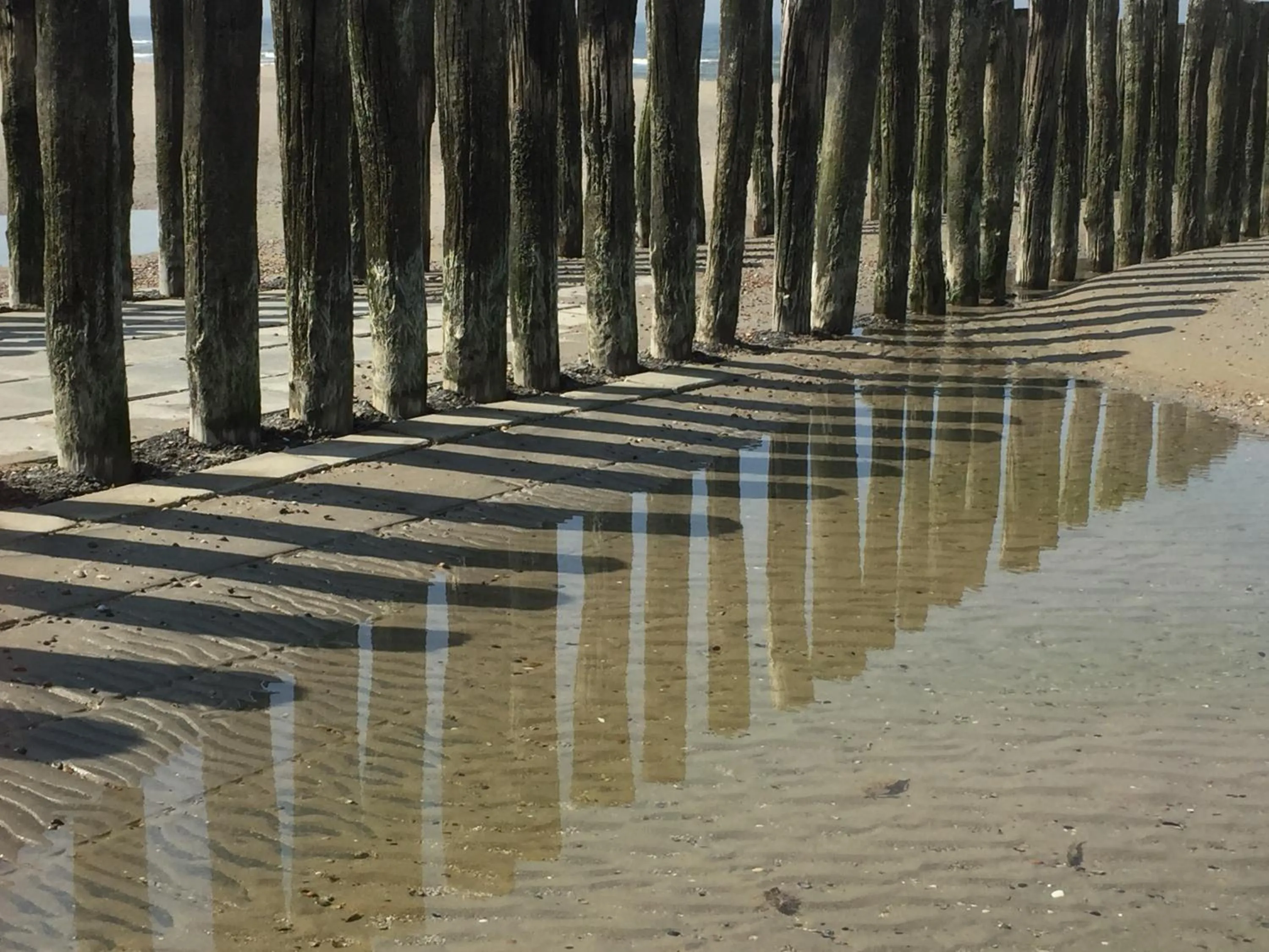 Beach in de Duinroos
