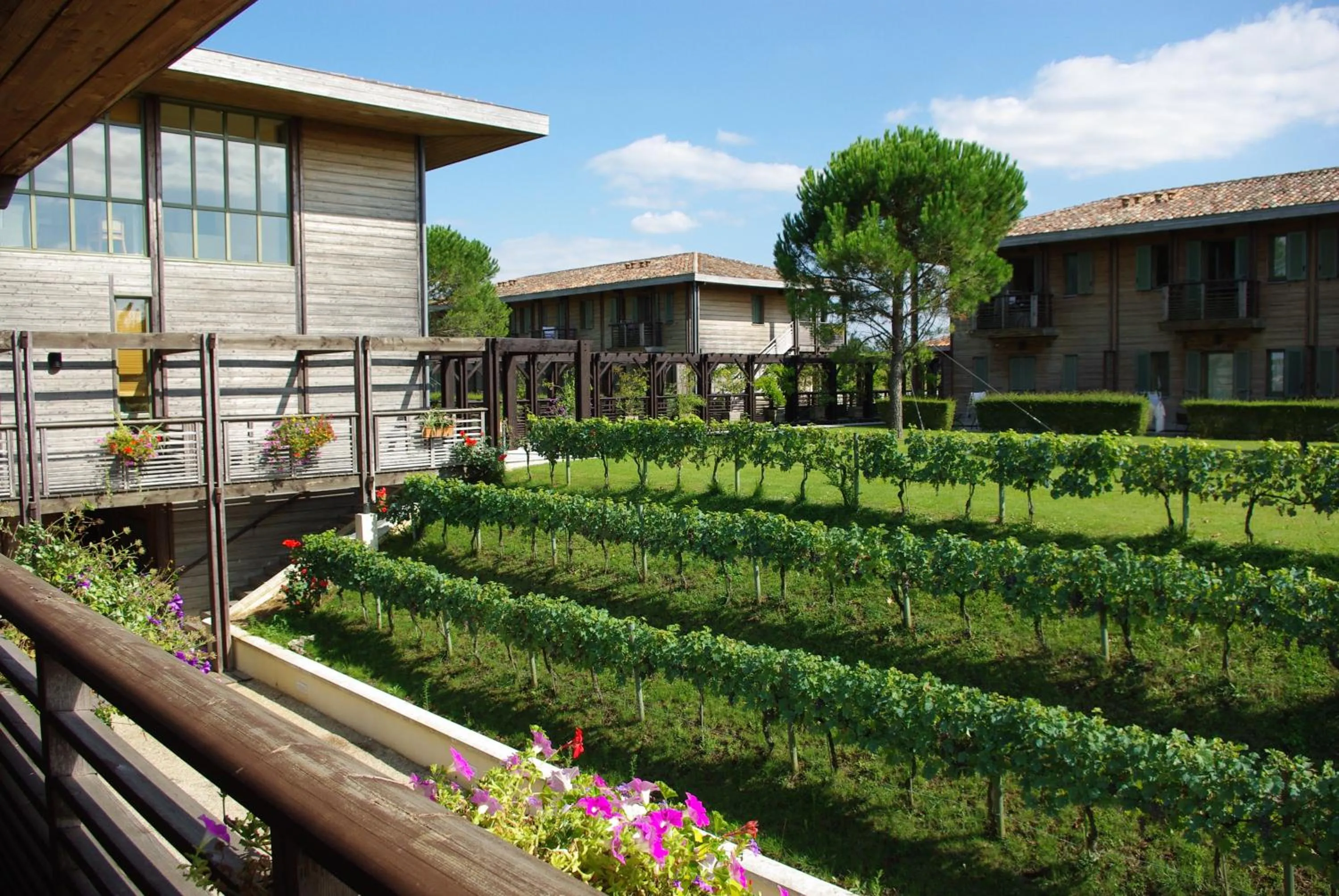 Garden view in Résidence Les Vignes