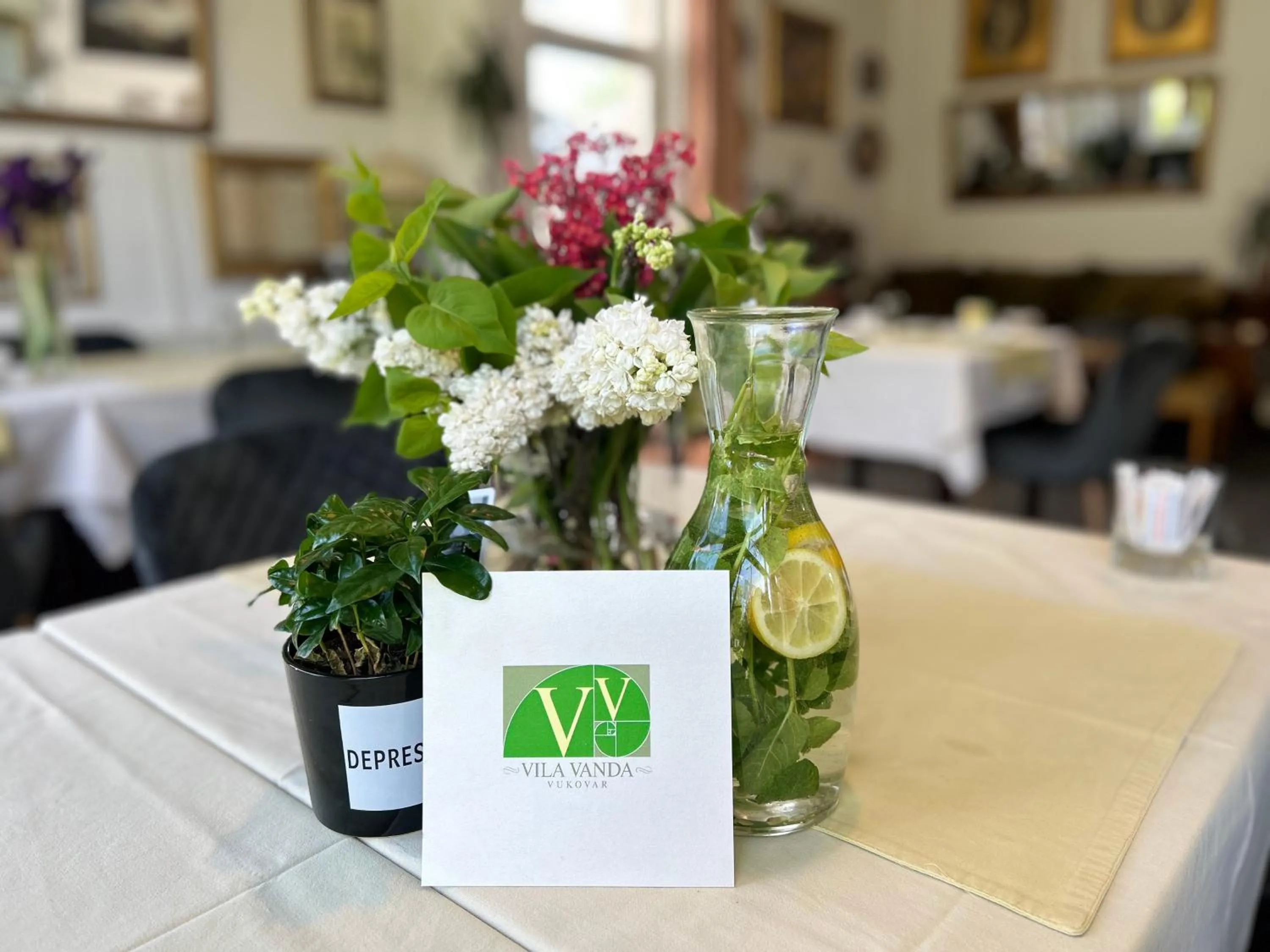 Property logo or sign in Vila Vanda Vukovar