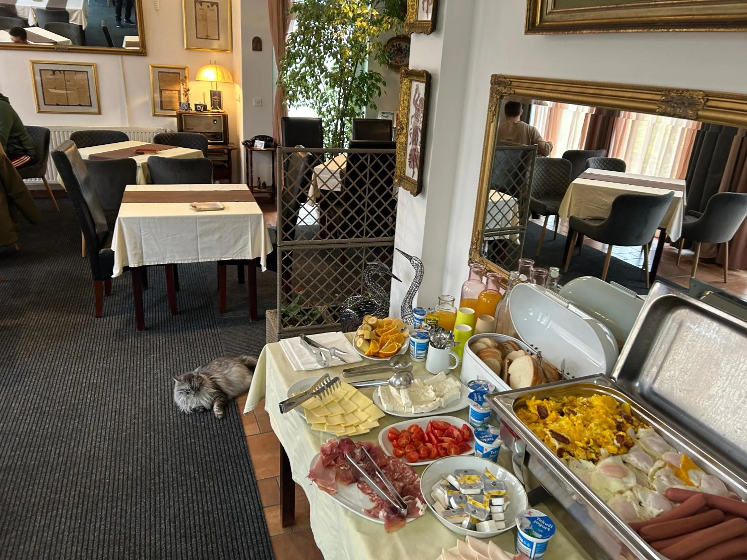 Banquet/Function facilities in Vila Vanda Vukovar