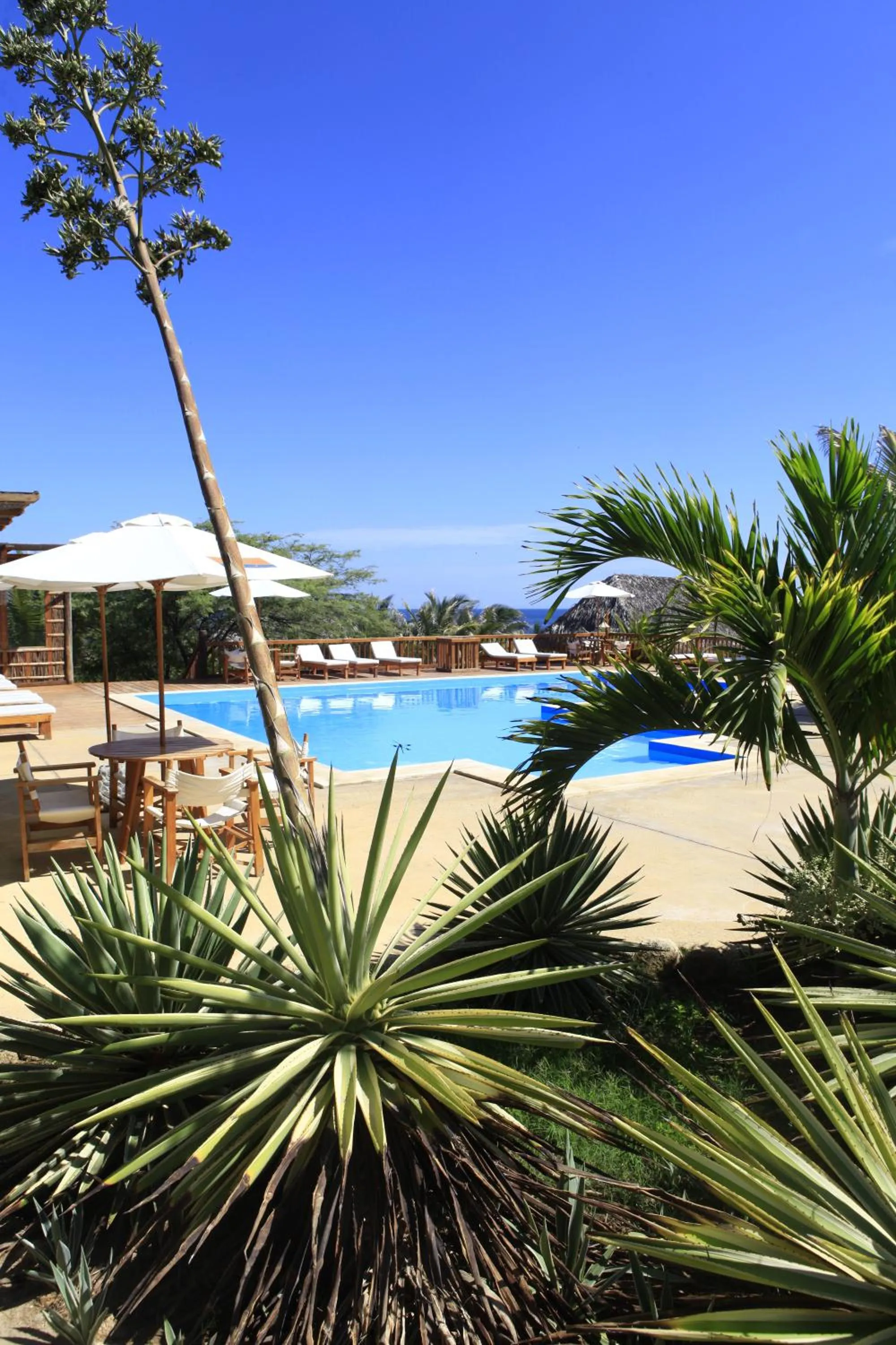 Swimming pool in Vichayito Bungalows & Carpas by Aranwa Hotels