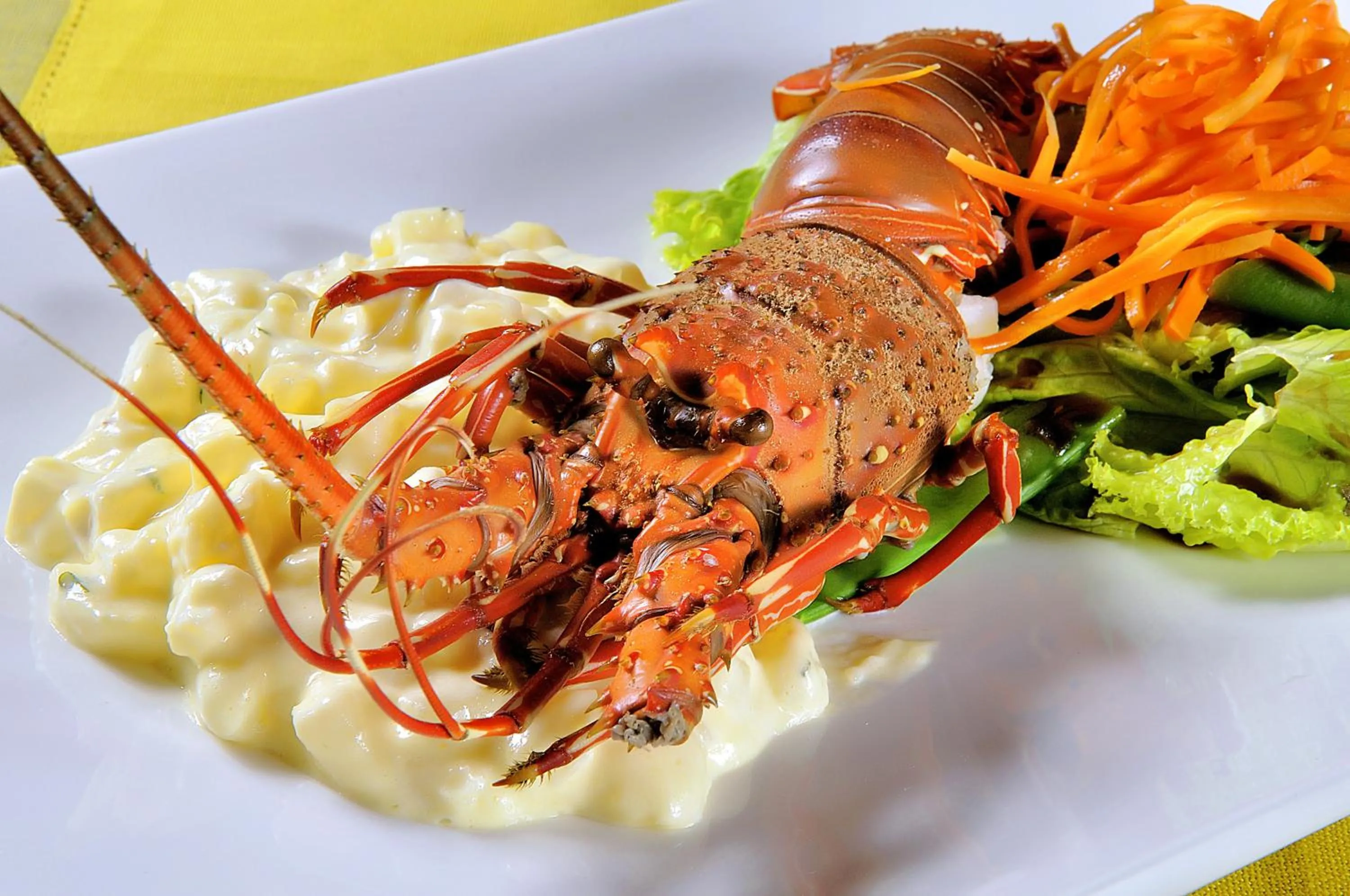 Restaurant/places to eat in Vichayito Bungalows & Carpas by Aranwa Hotels