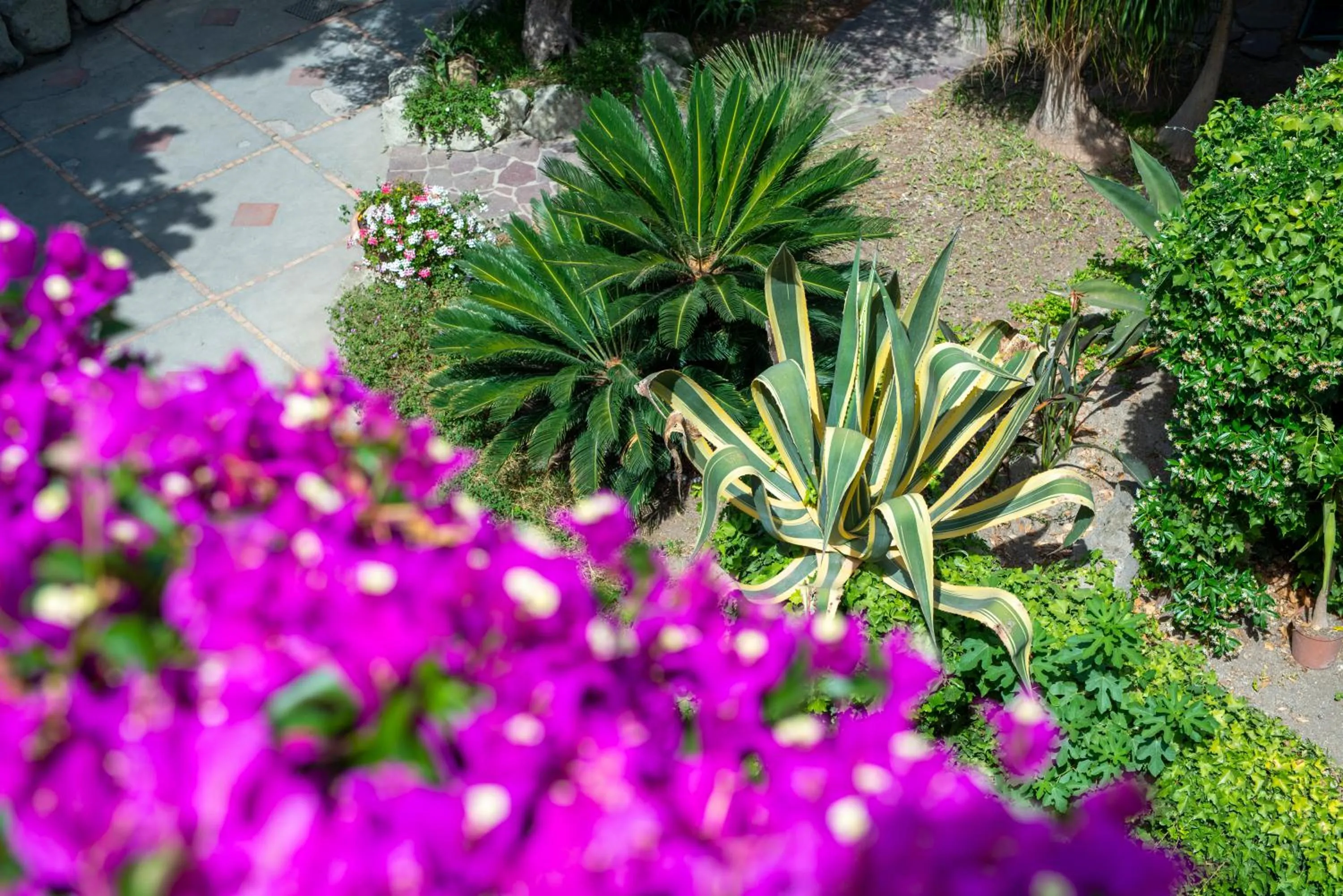 Hotel Villa Melodie - Adults Only