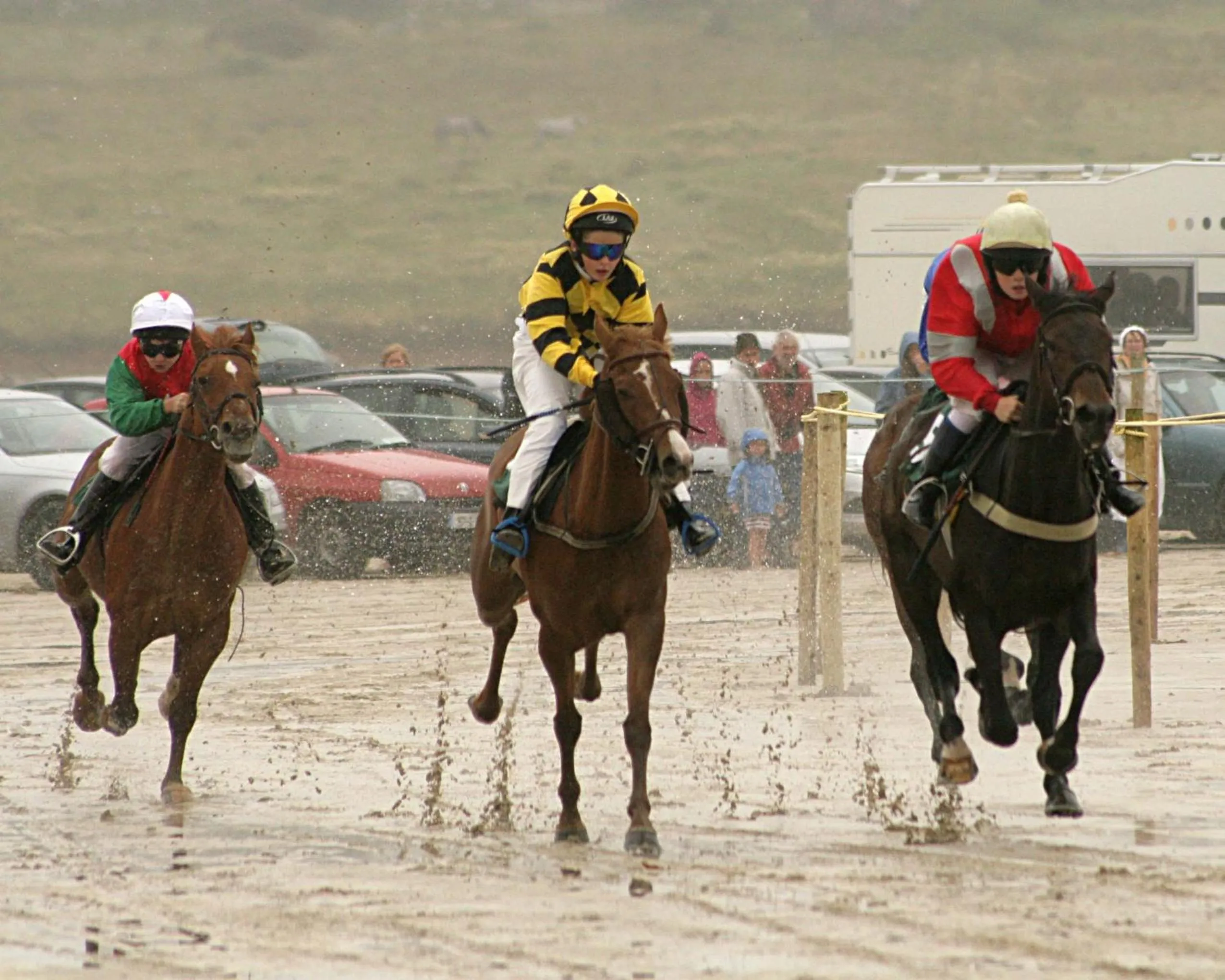 Horse-riding in Castlehouse B&B