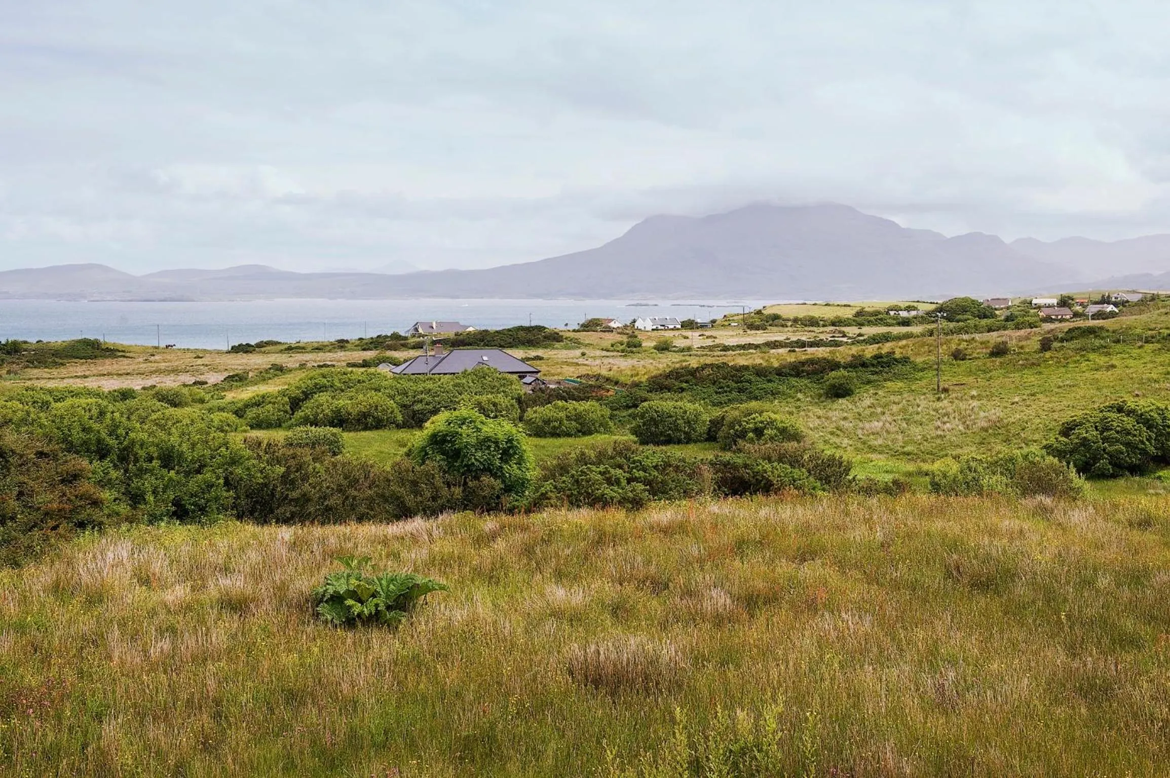 Sea view in Castlehouse B&B