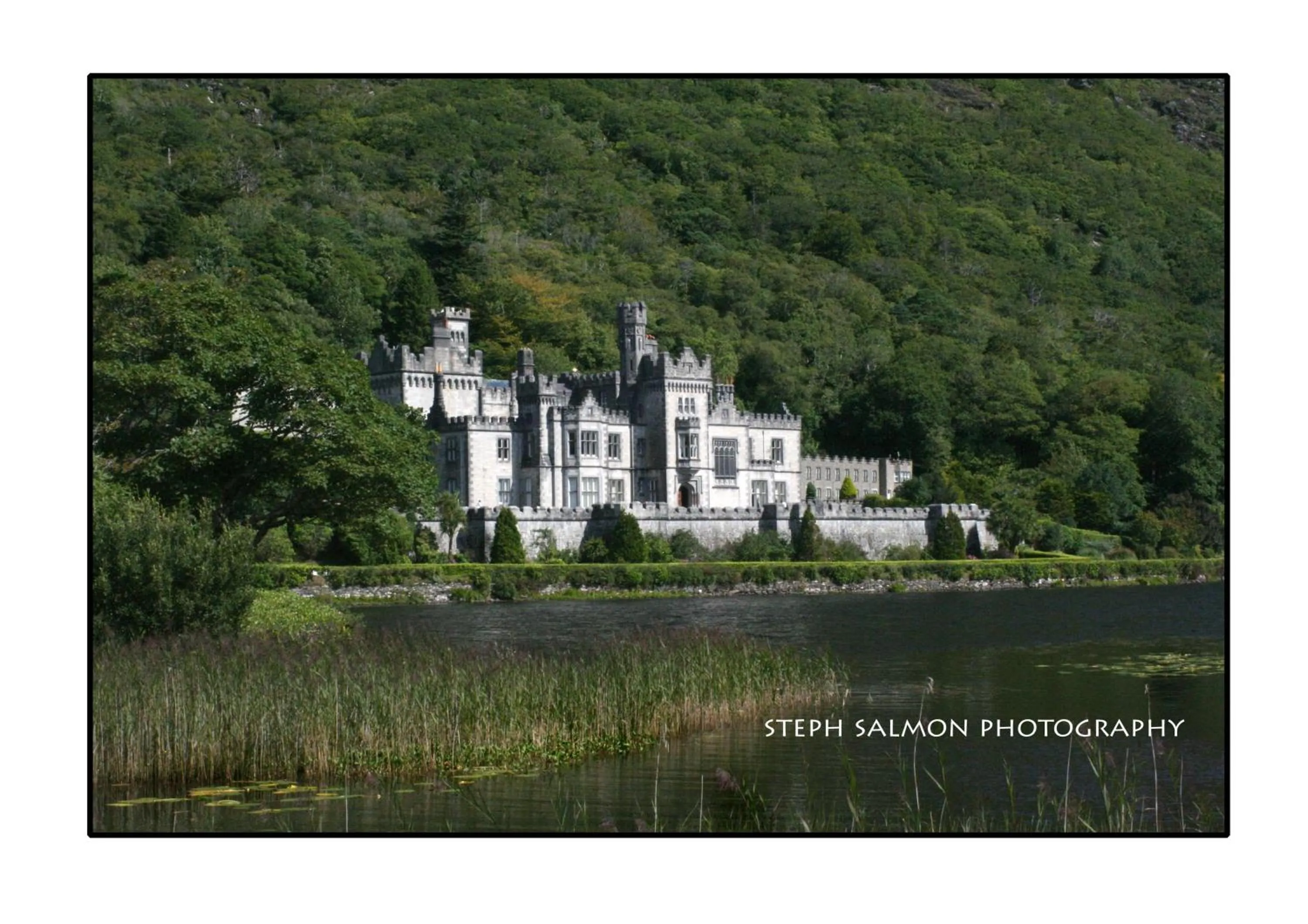 Nearby landmark in Castlehouse B&B