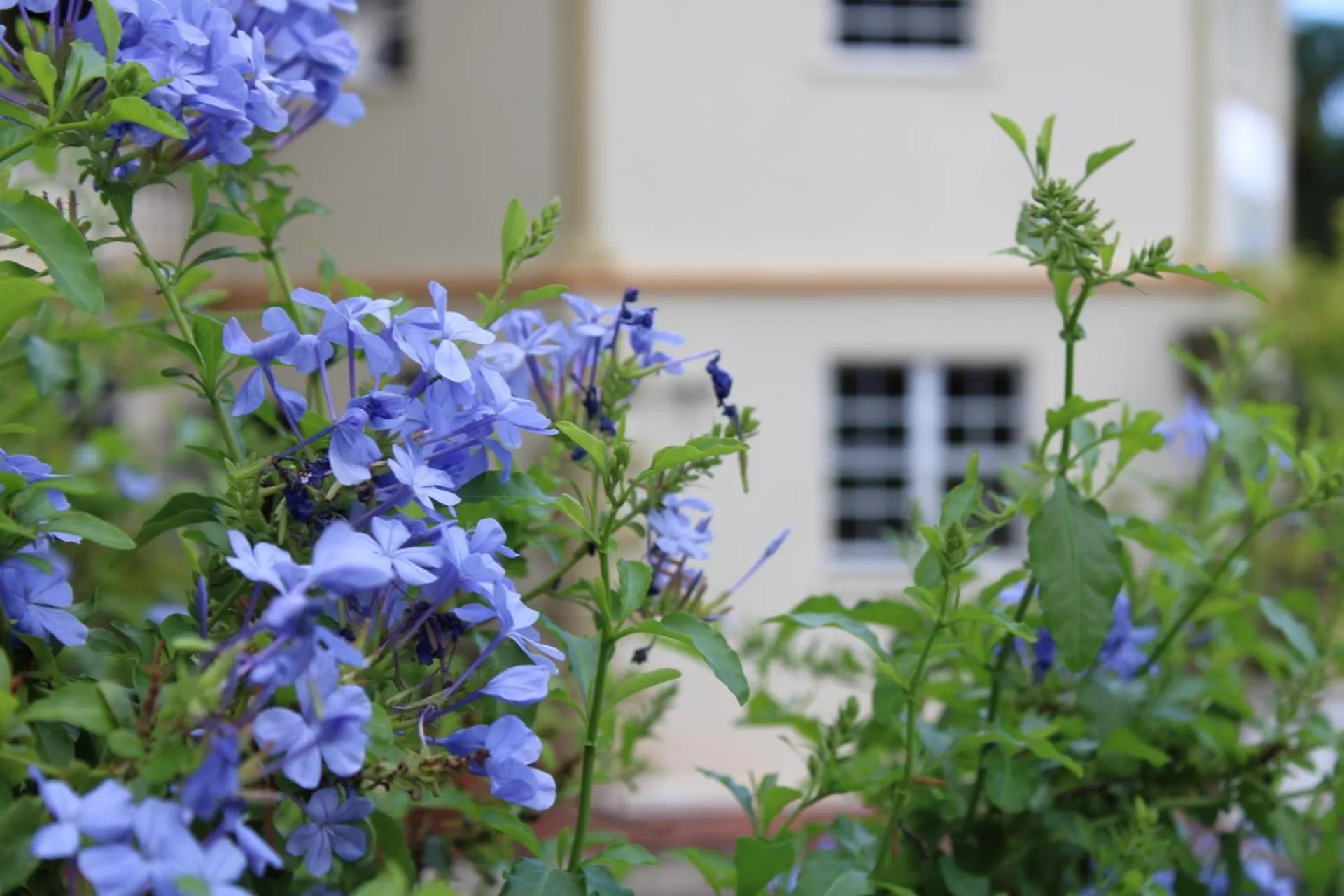 Spring in Rejens Hotel