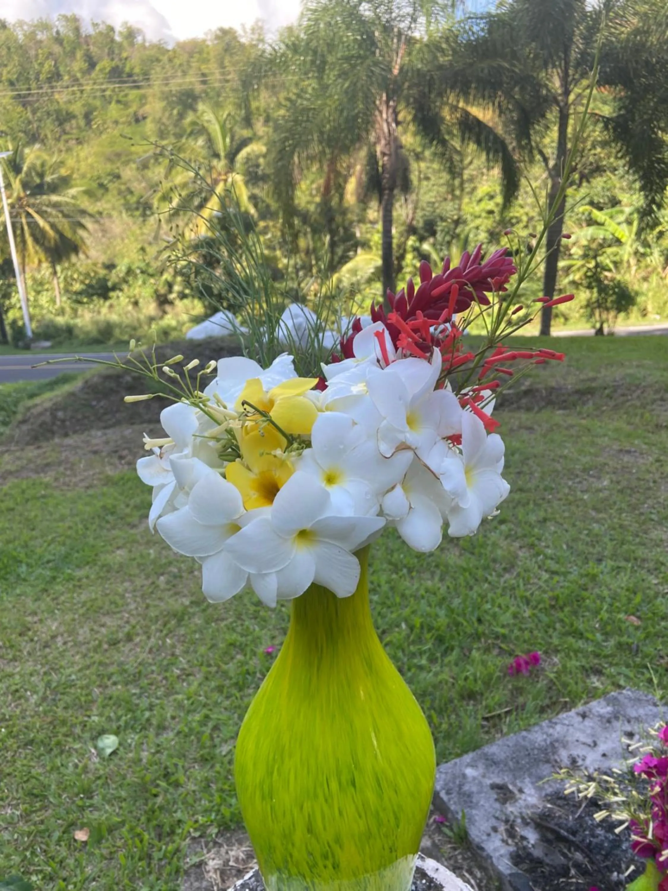 Garden in Rejens Hotel