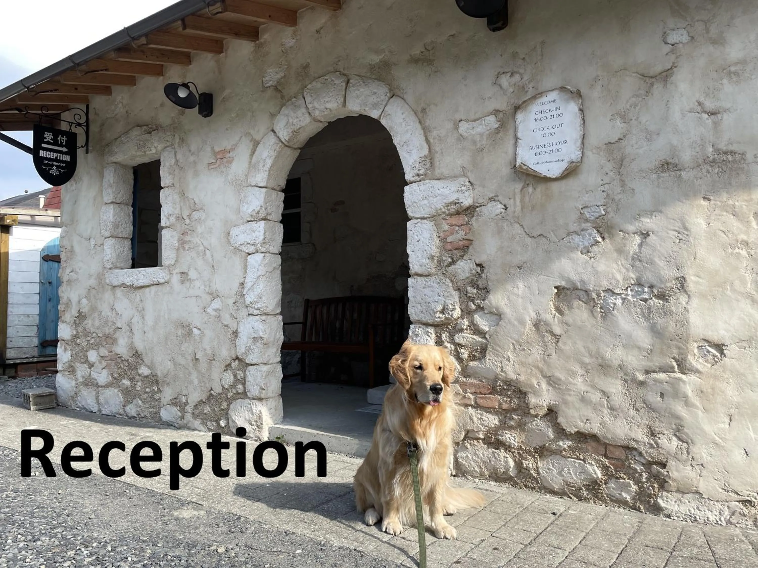 Property building in Cottage Morinokokage