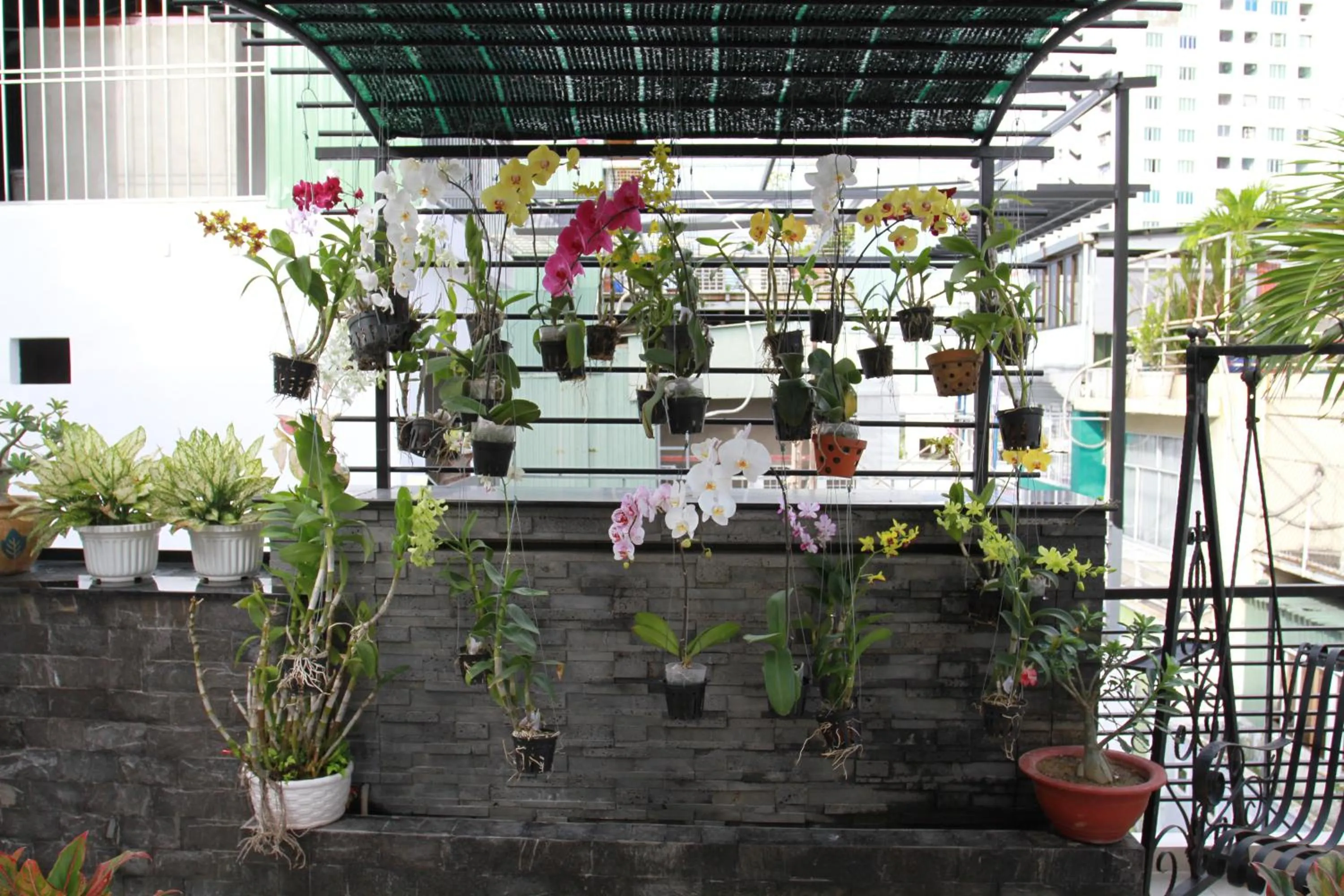 Restaurant/places to eat in Ngoc Minh Hotel