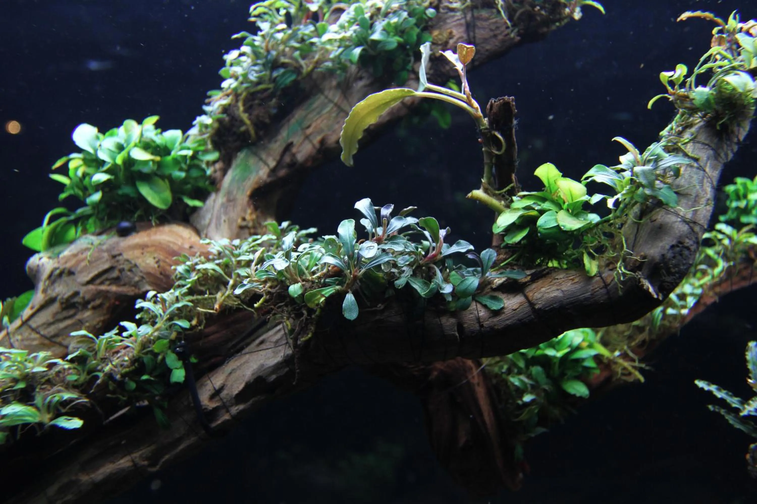 Property building in Ngoc Minh Hotel