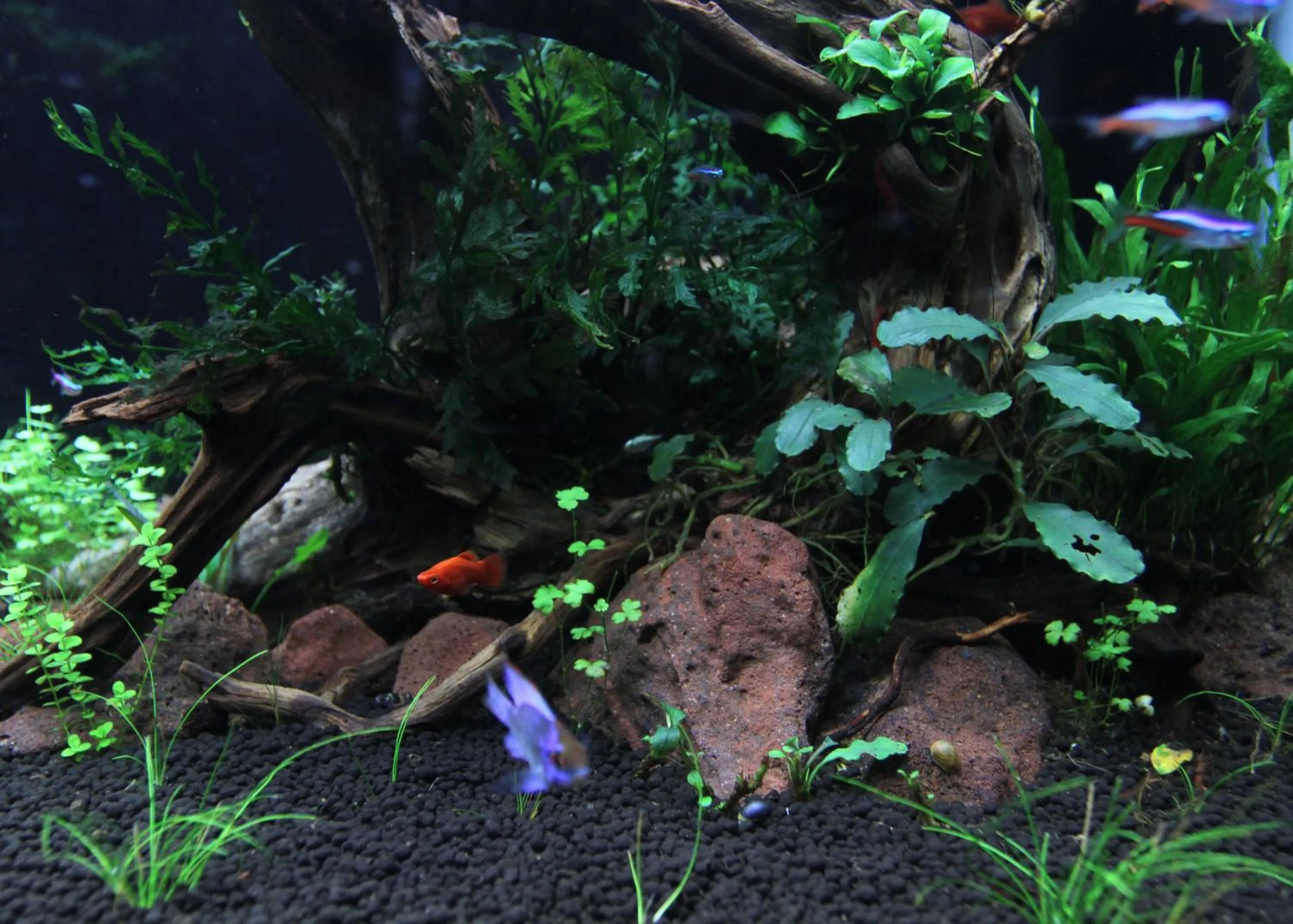 Property building in Ngoc Minh Hotel