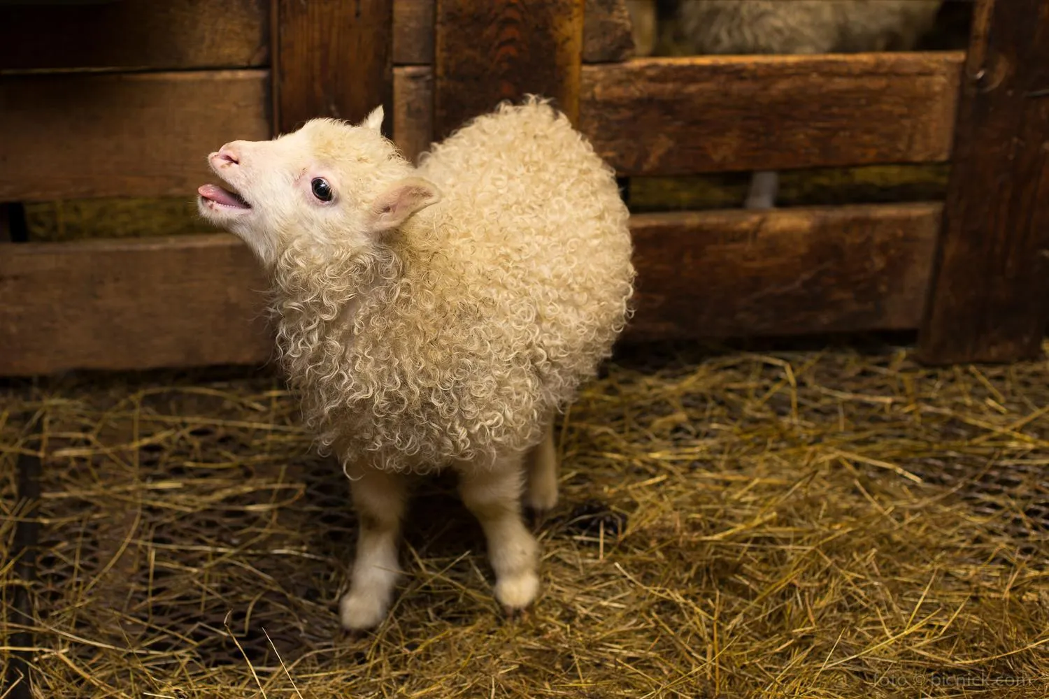 Other in Hunkubakkar Guesthouse