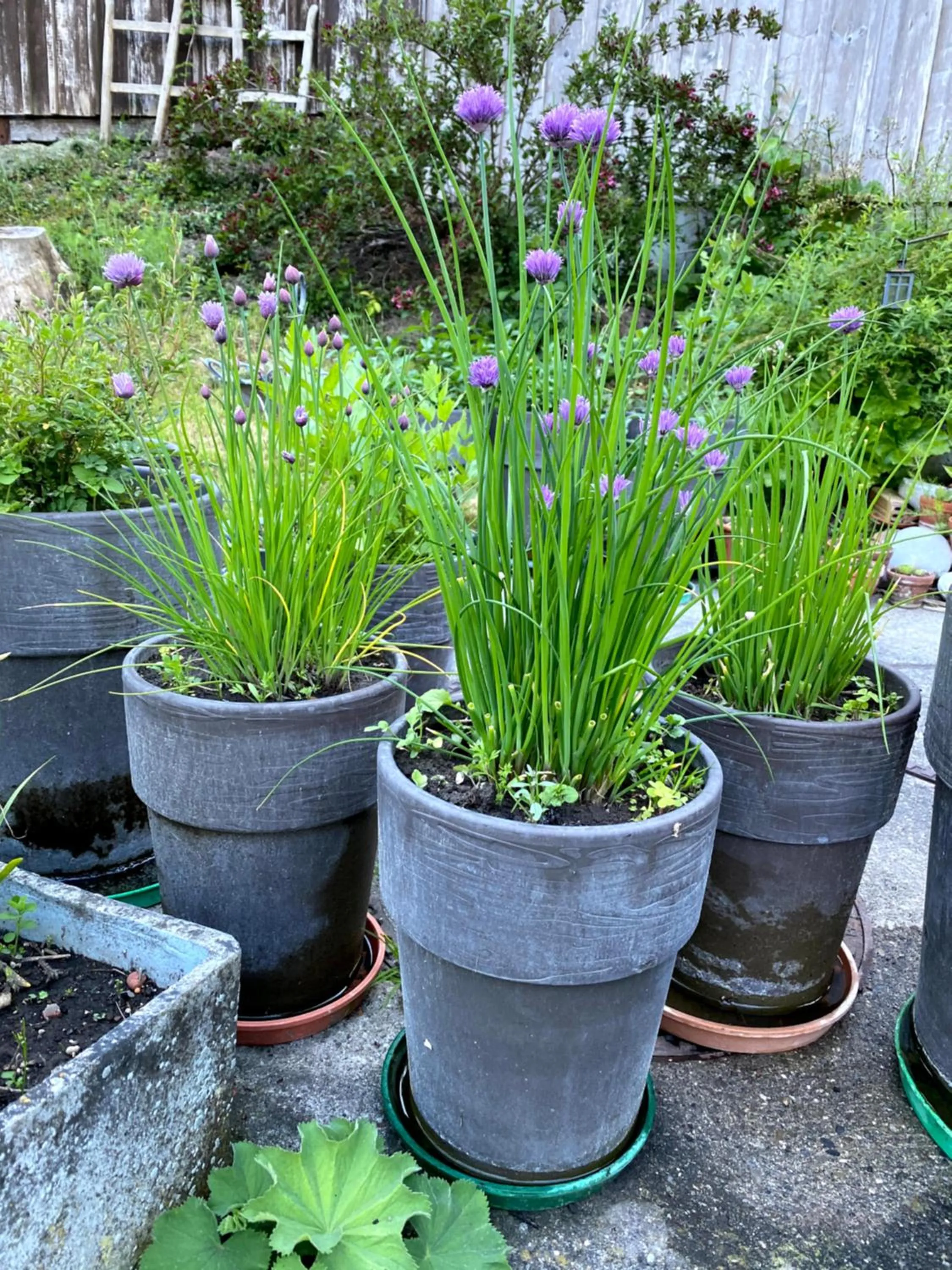 Property building in B&B tannen124