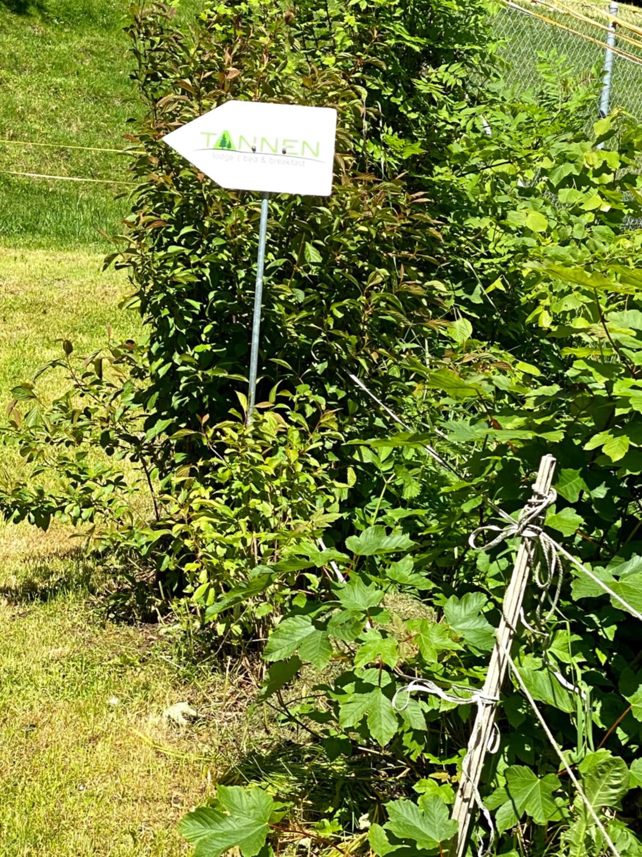 Logo/Certificate/Sign in B&B tannen124