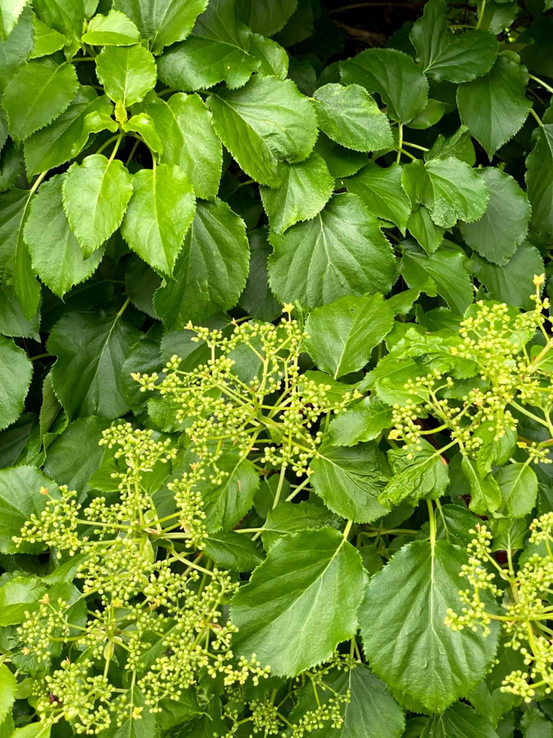 Property building in B&B tannen124