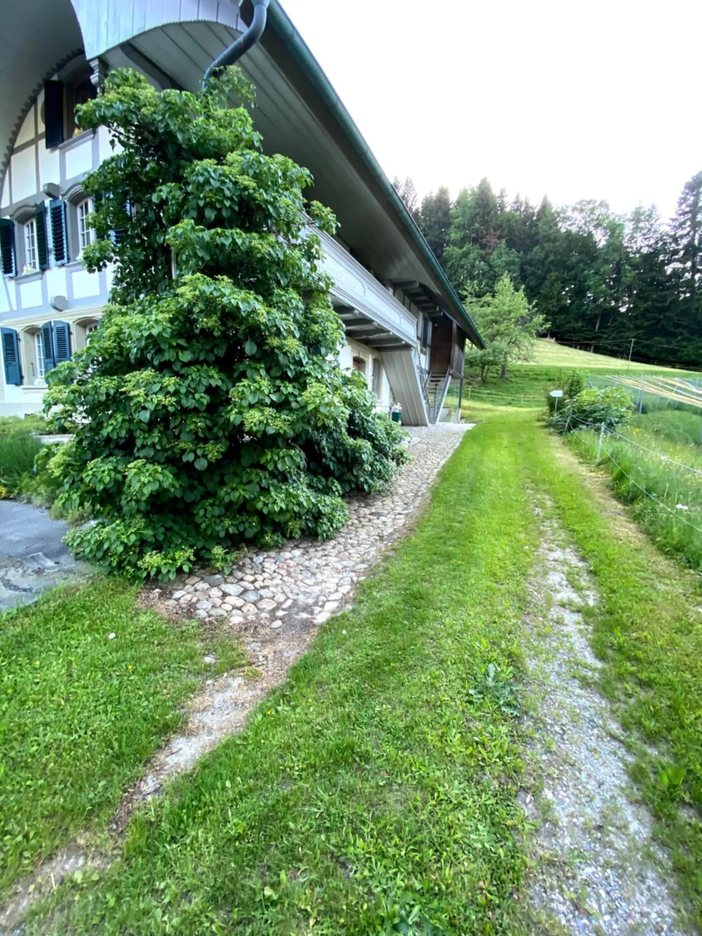 Property building in B&B tannen124