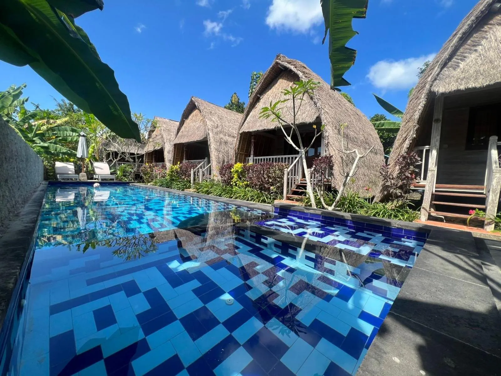 Pool view in HoneyBee Huts
