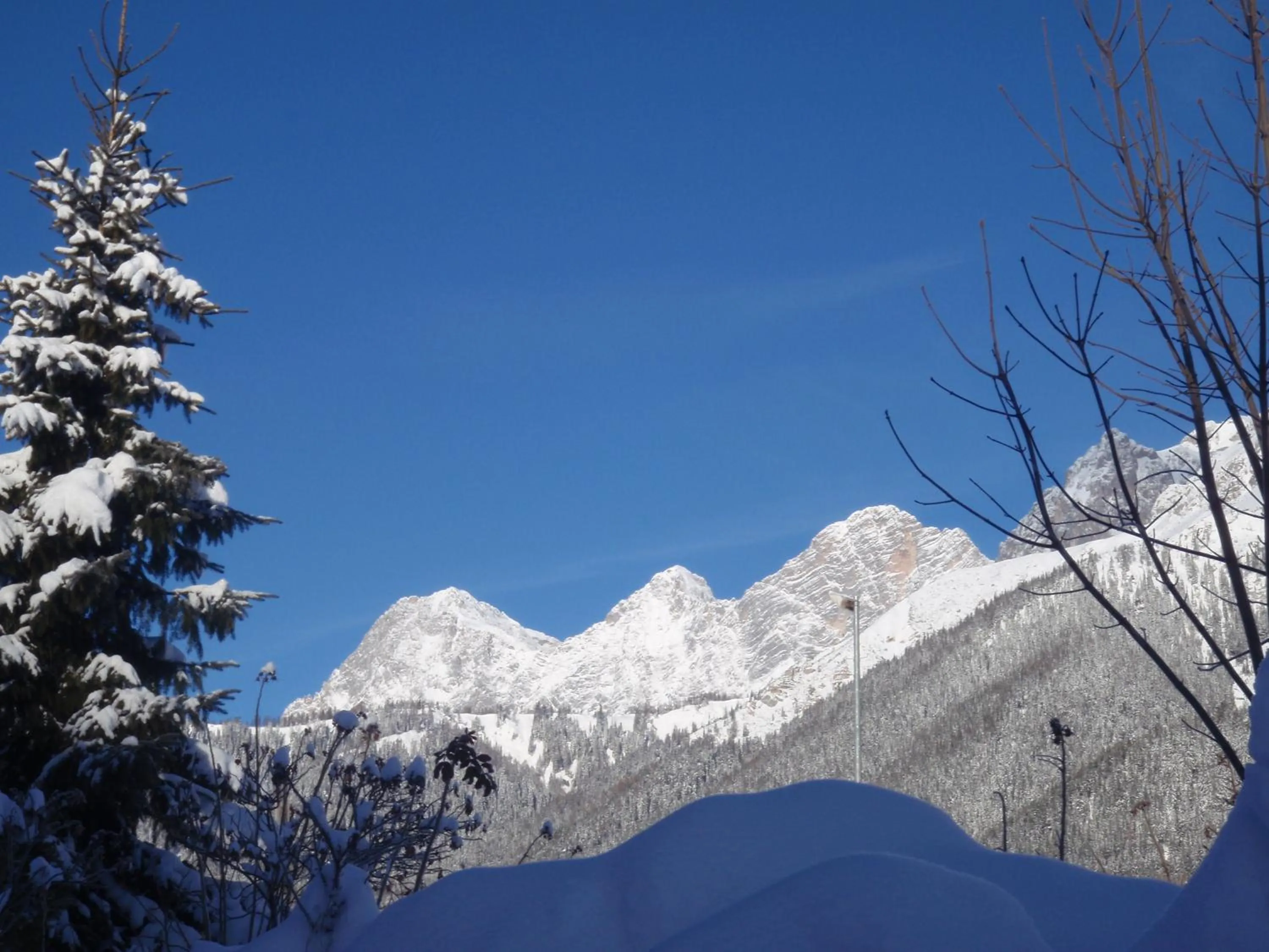 Natural landscape in Gasthof Edelbrunn