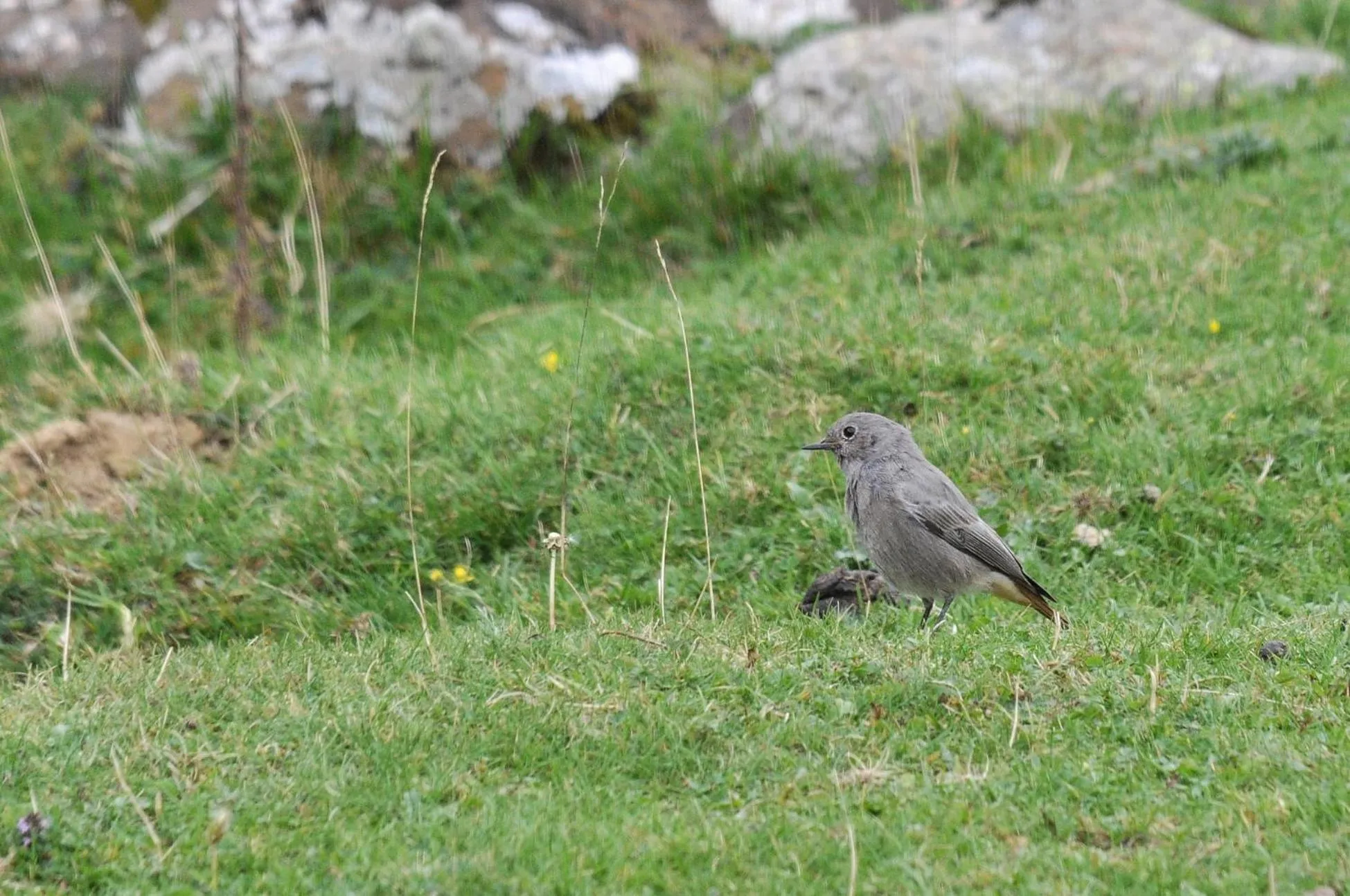 Natural landscape in Au Primerose Hôtel