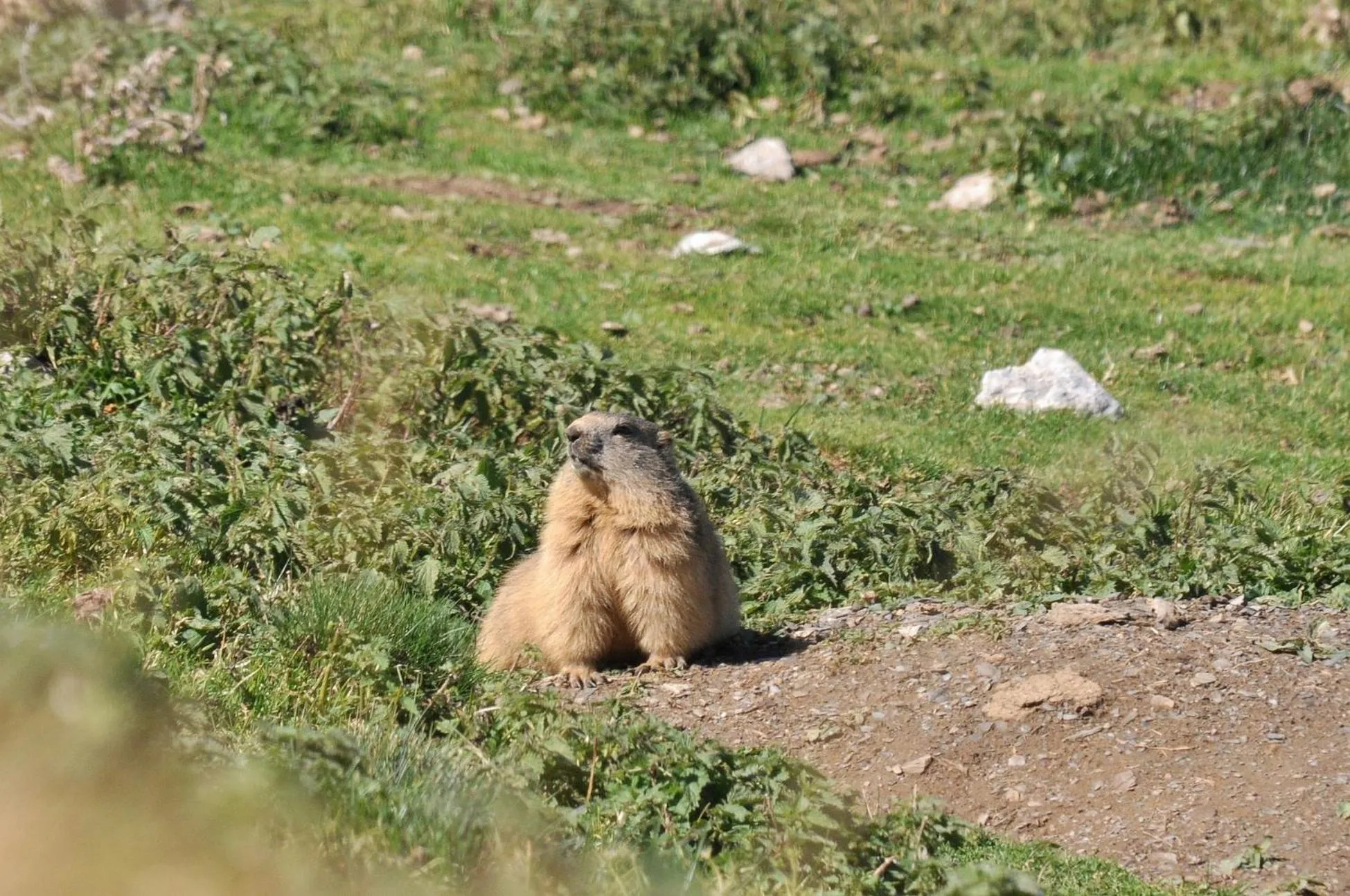Off site in Au Primerose Hôtel