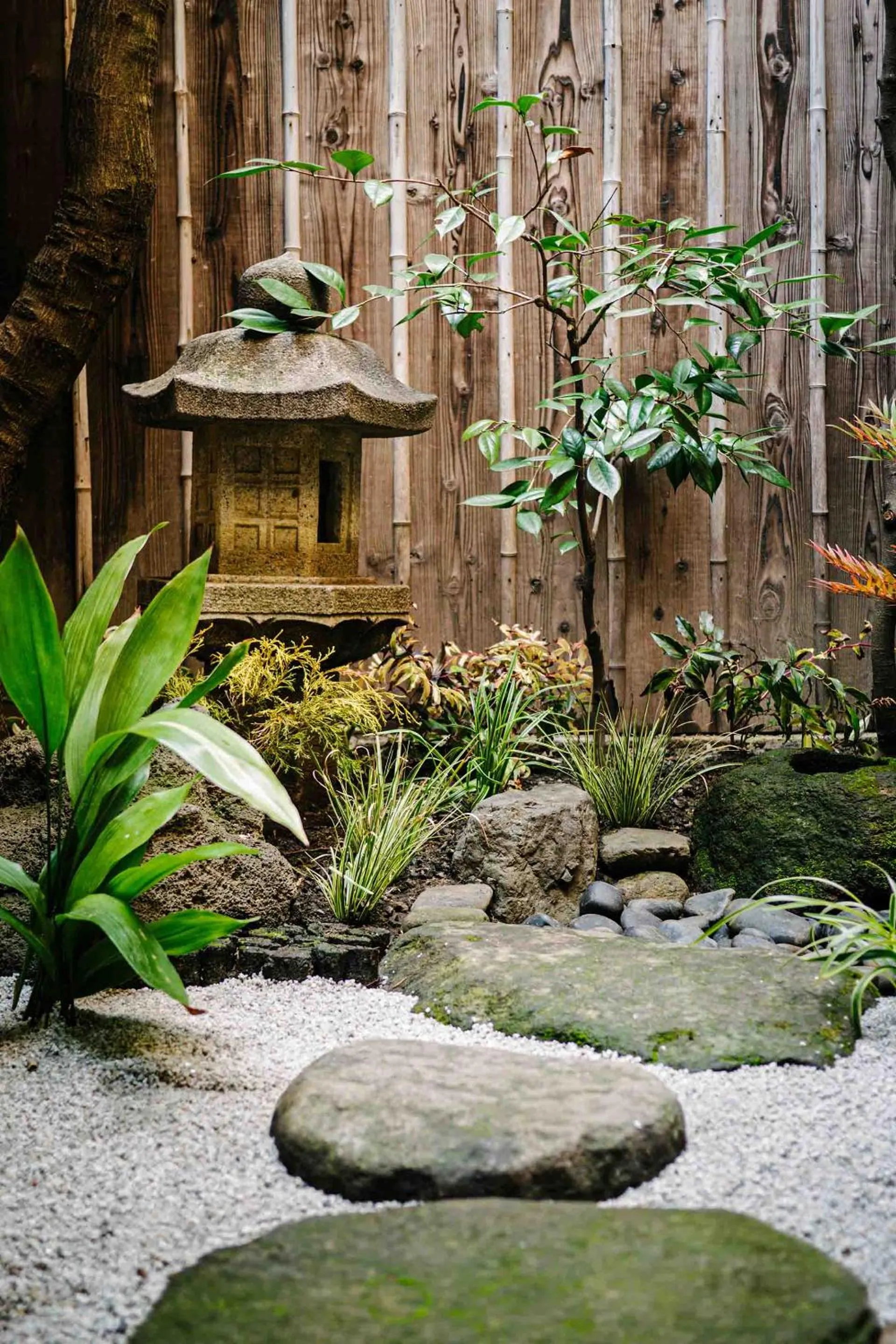 Garden view in Hatoba an Machiya House