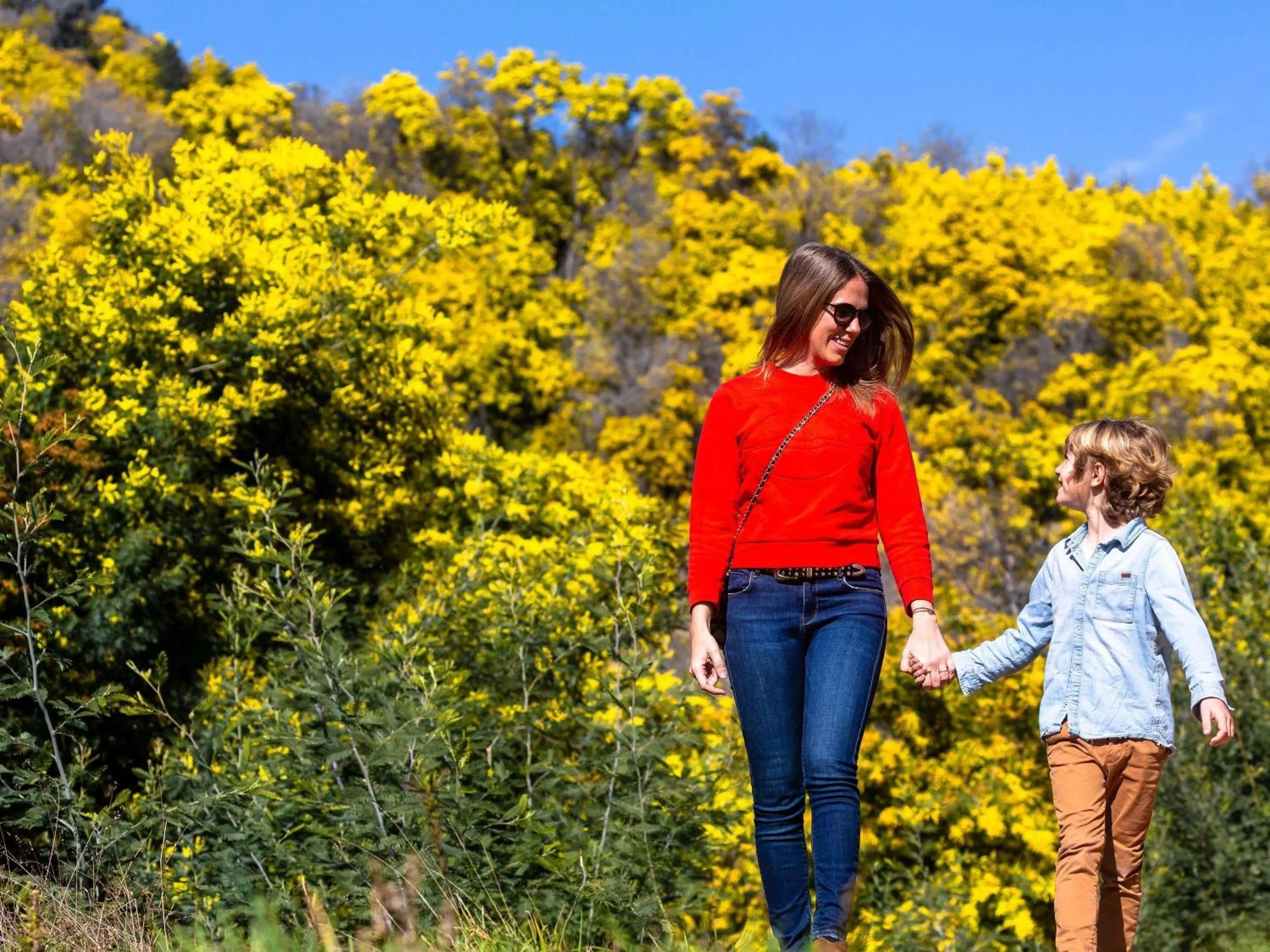 Other in Pullman Cannes Mandelieu