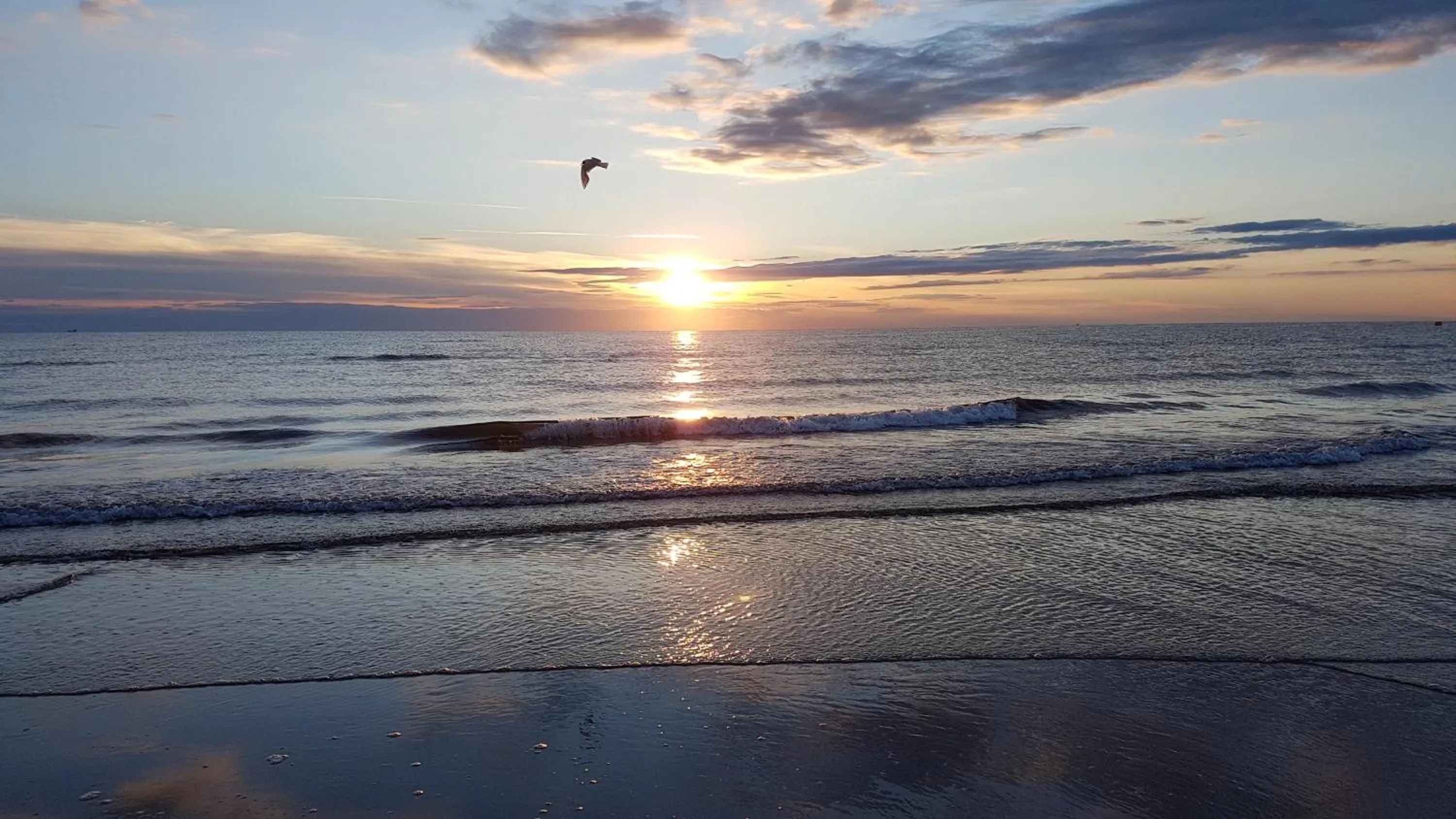 Beach in Hotel Senyor