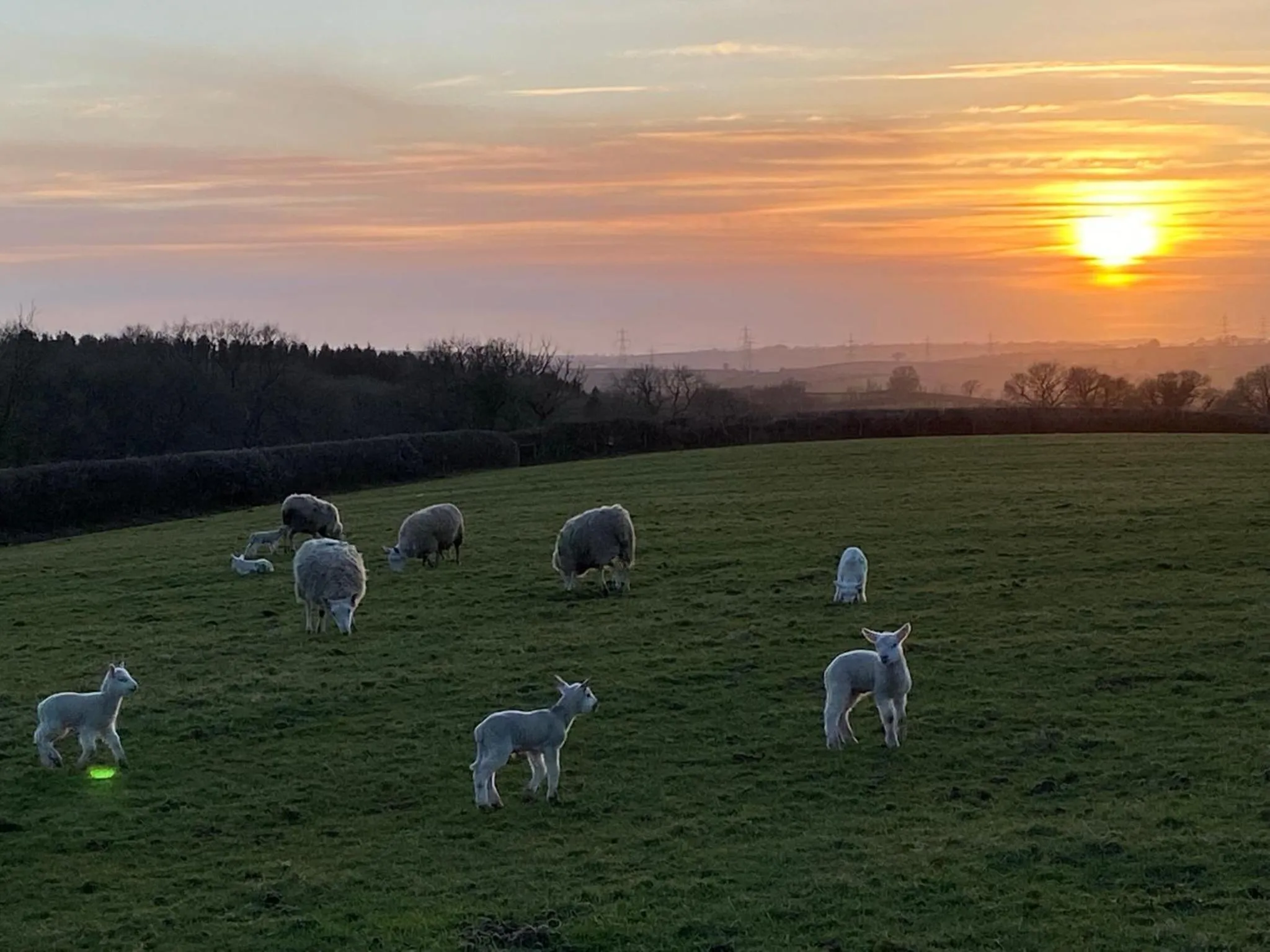 Dan y Graig Barn, Carmarthen