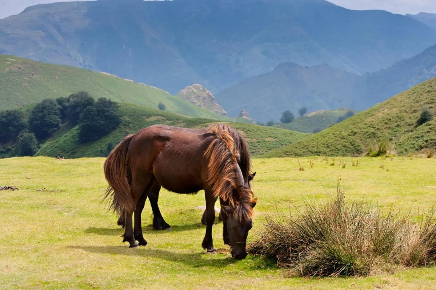 Area and facilities in Auberge Ostapé