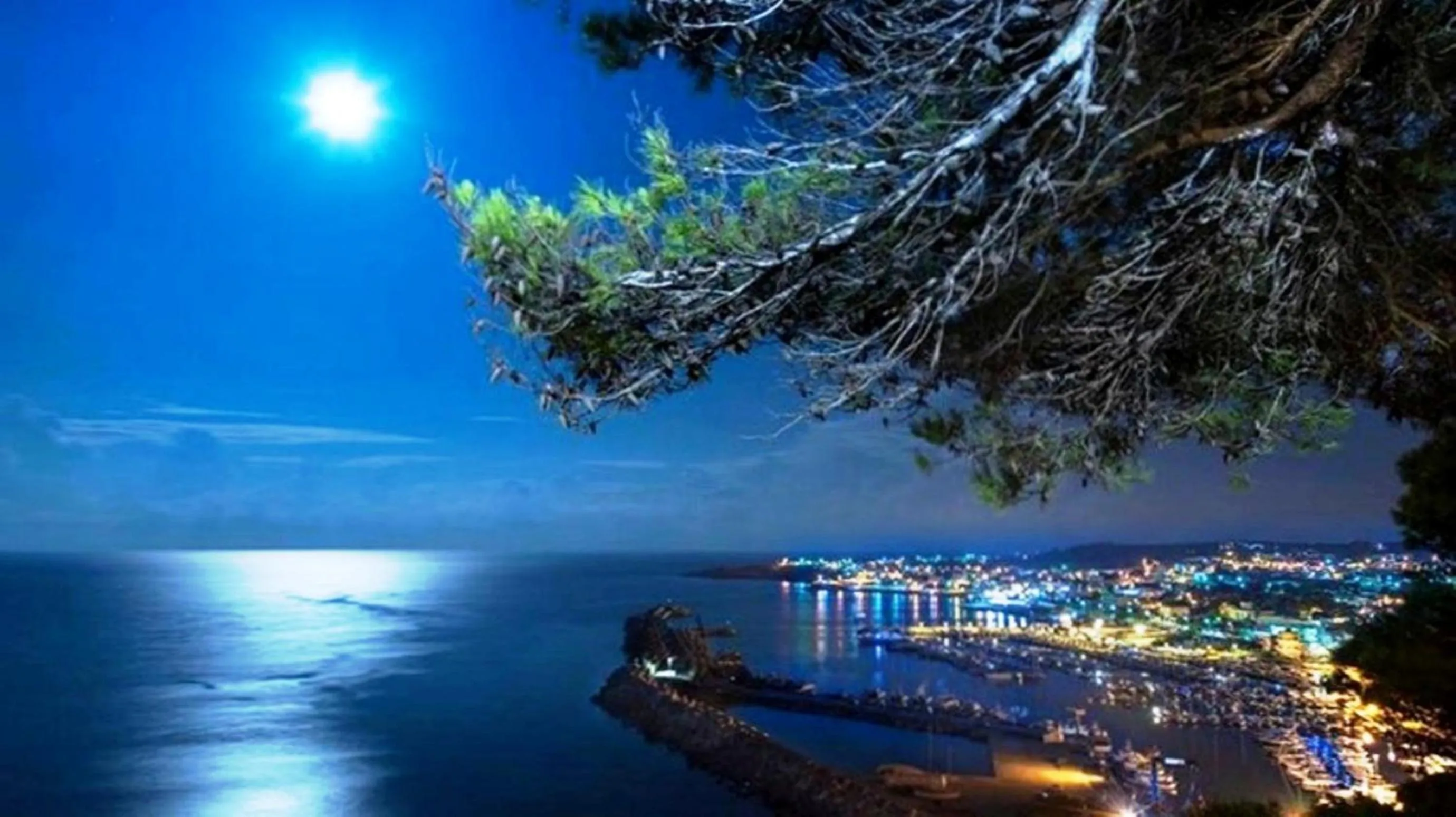 View (from property/room) in B&B Anxa