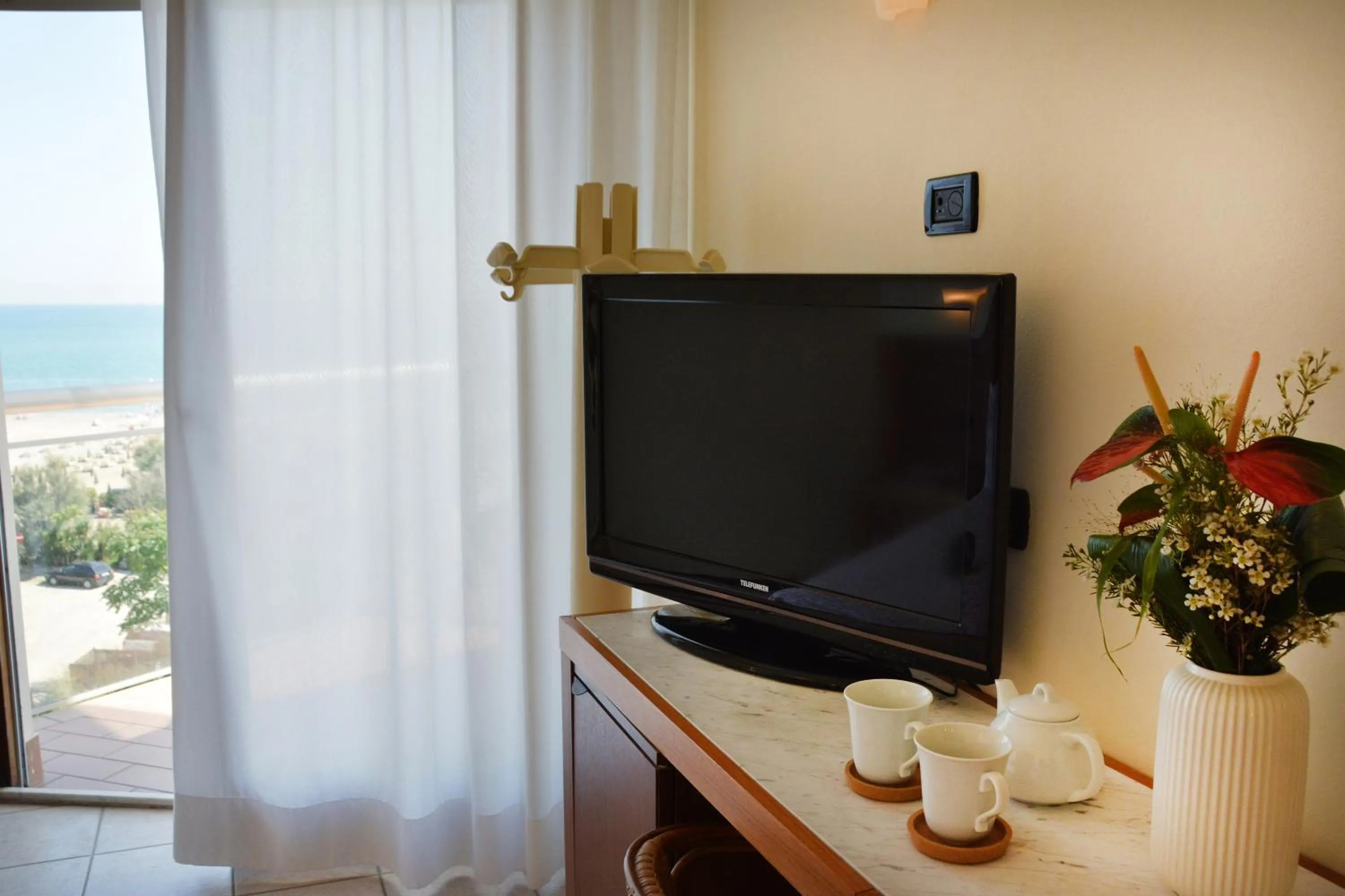 TV and multimedia in Hotel Bellevue Beach - sul mare