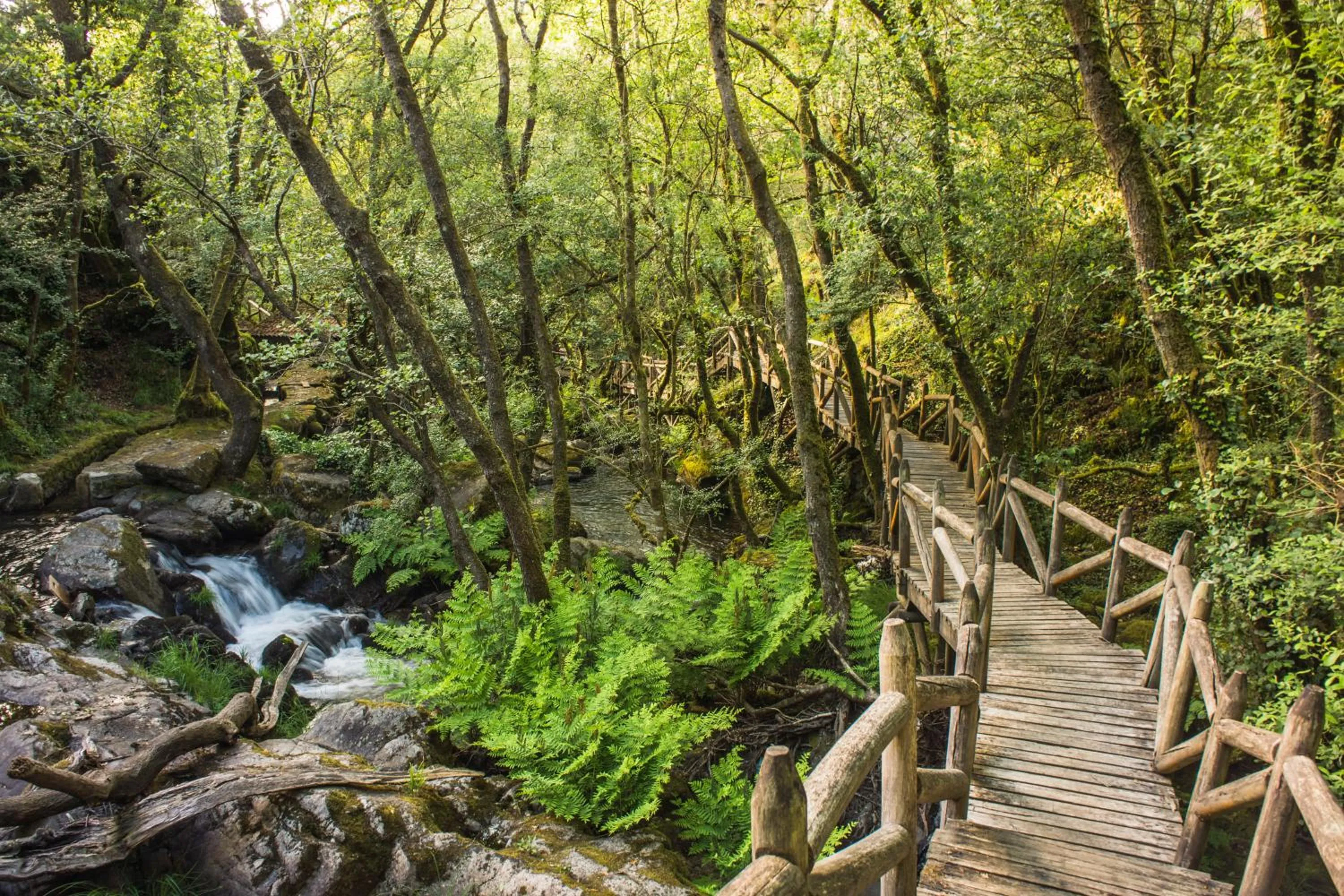 Natural landscape in Hotel Leal - La Sirena