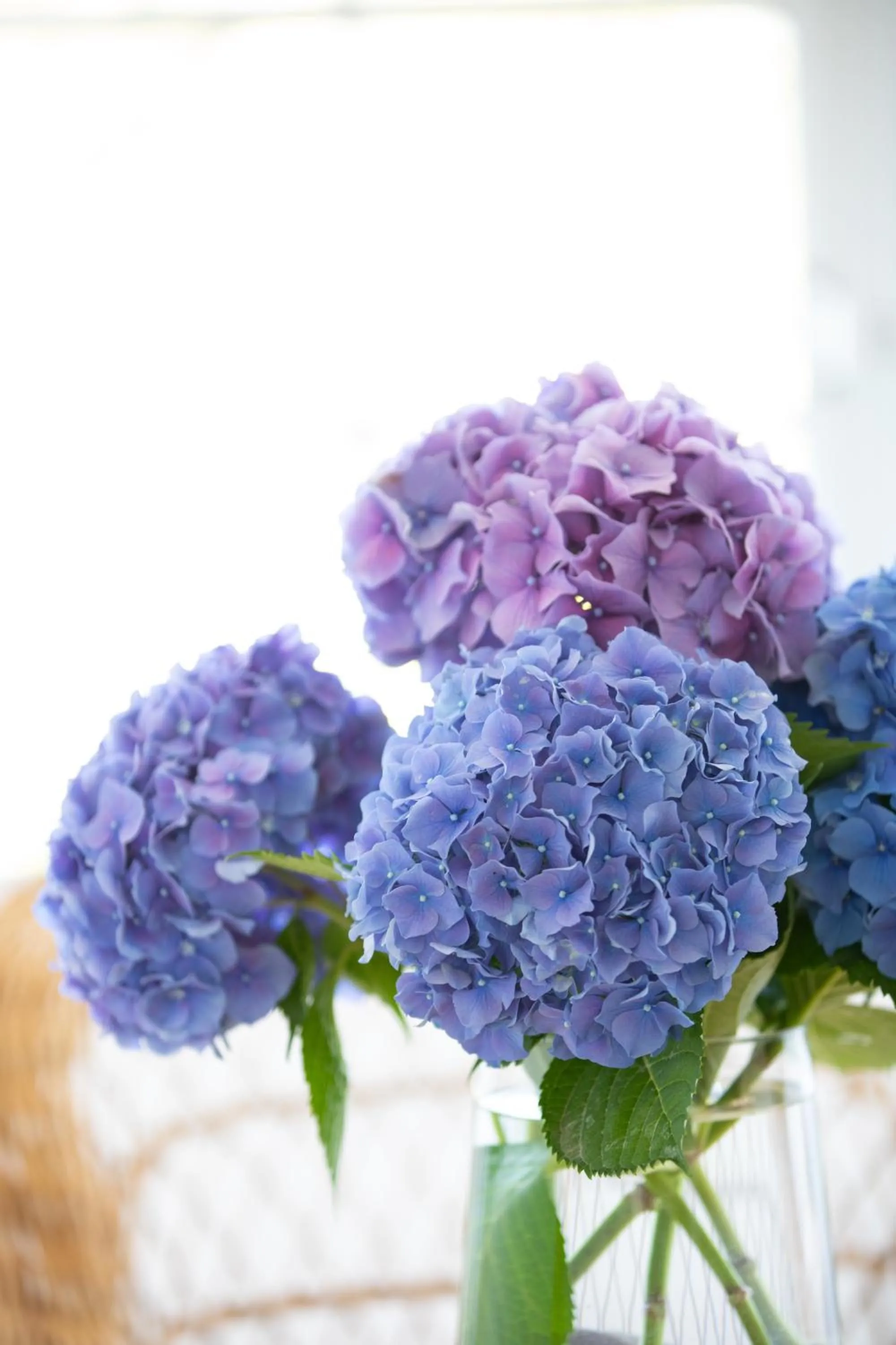 Lobby or reception in Hotel Leal - La Sirena