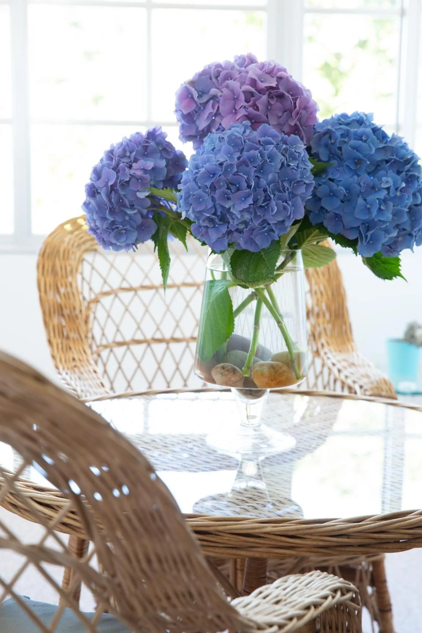 Living room in Hotel Leal - La Sirena
