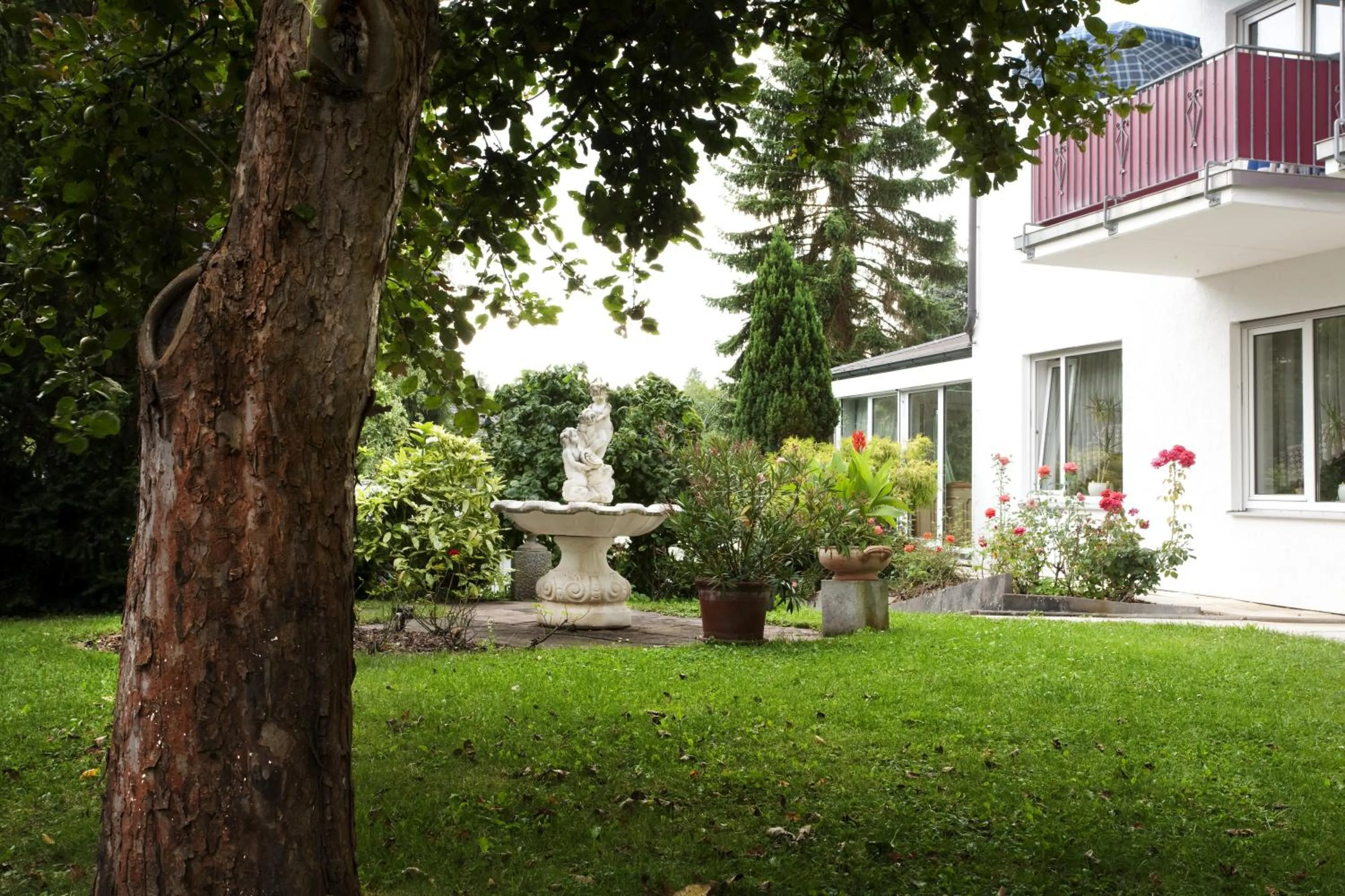 Garden in Hotel Sonneneck