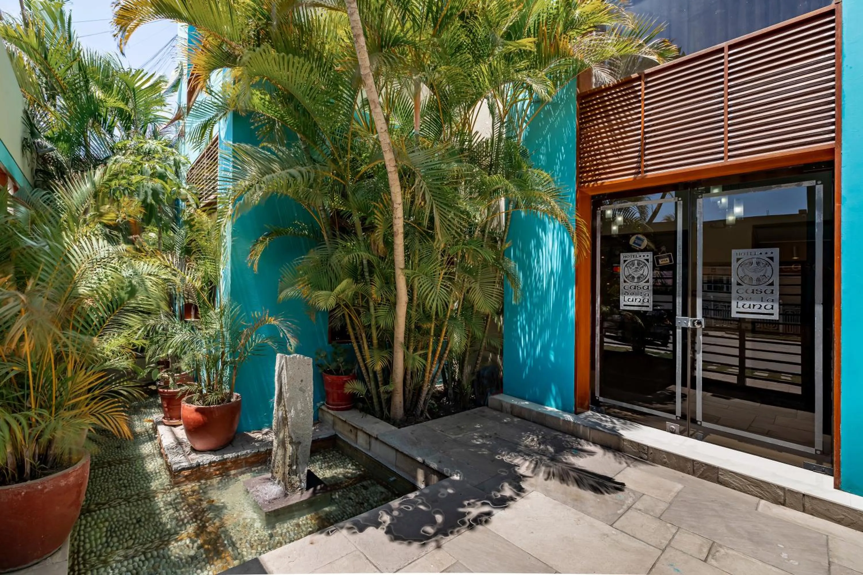 Patio in Hotel Casa de la Luna