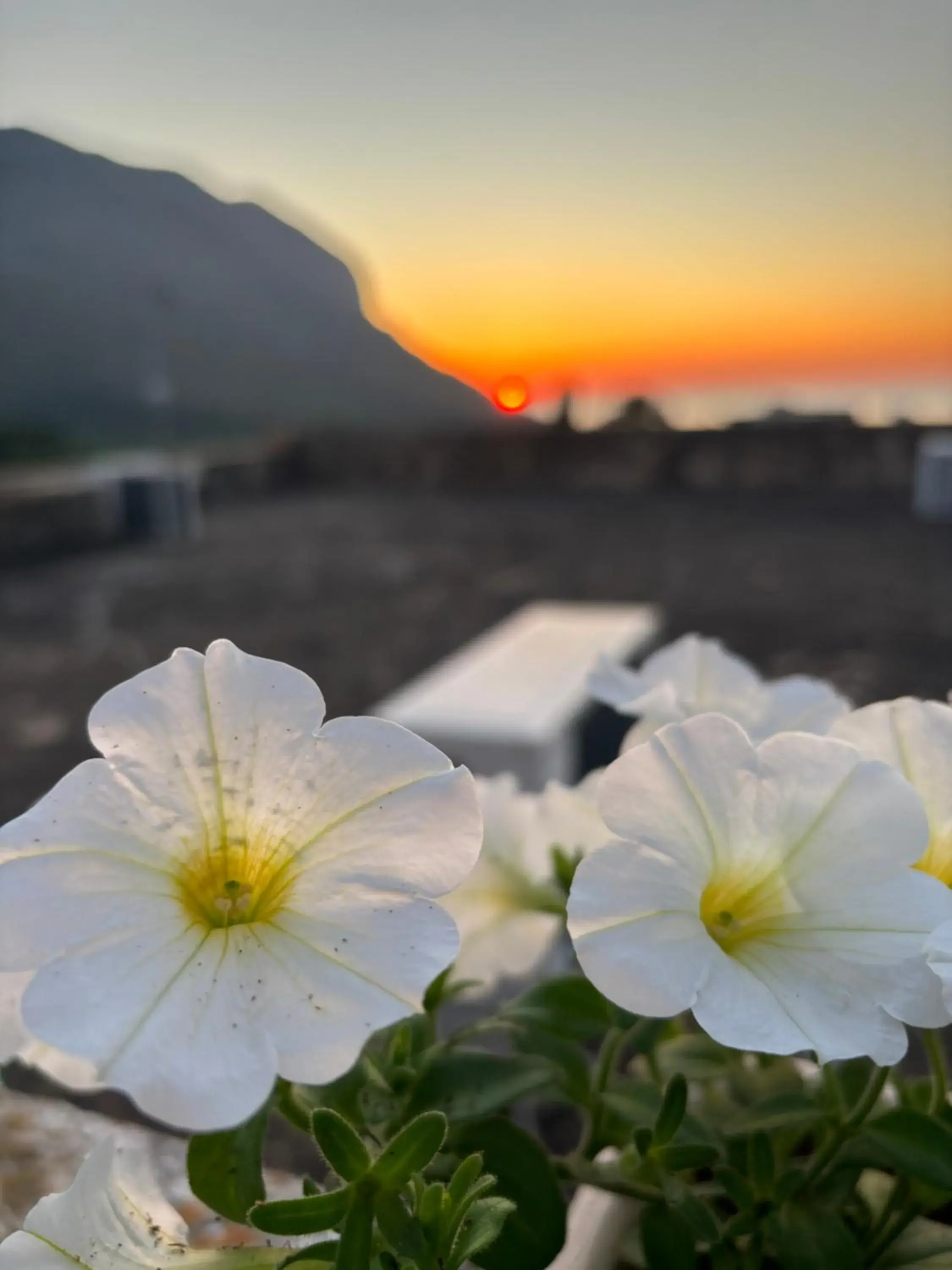 Bed And Breakfast Turi Bed And Breakfast Turi