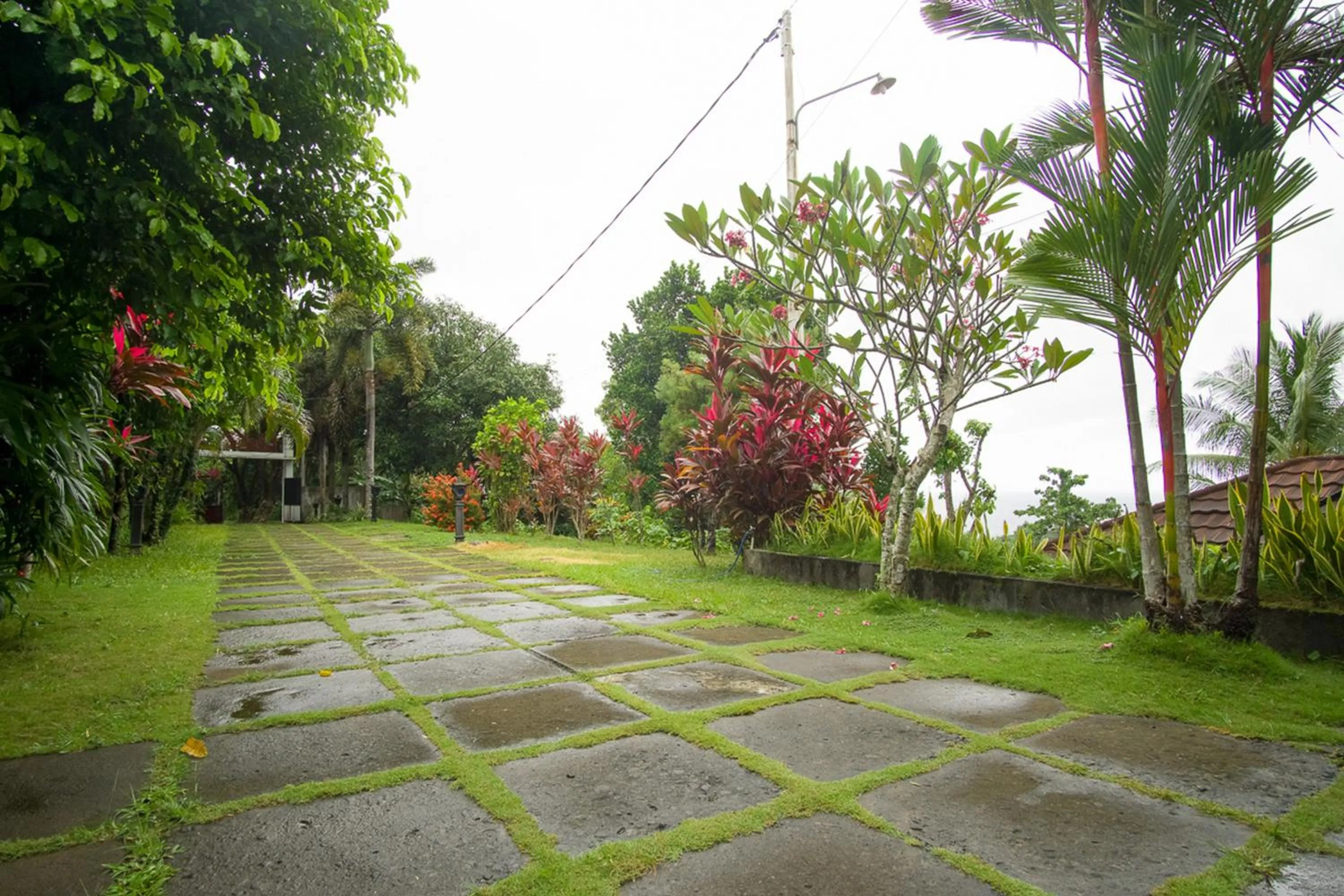 Floor plan in RedDoorz Syariah near Ngade Lake Ternate