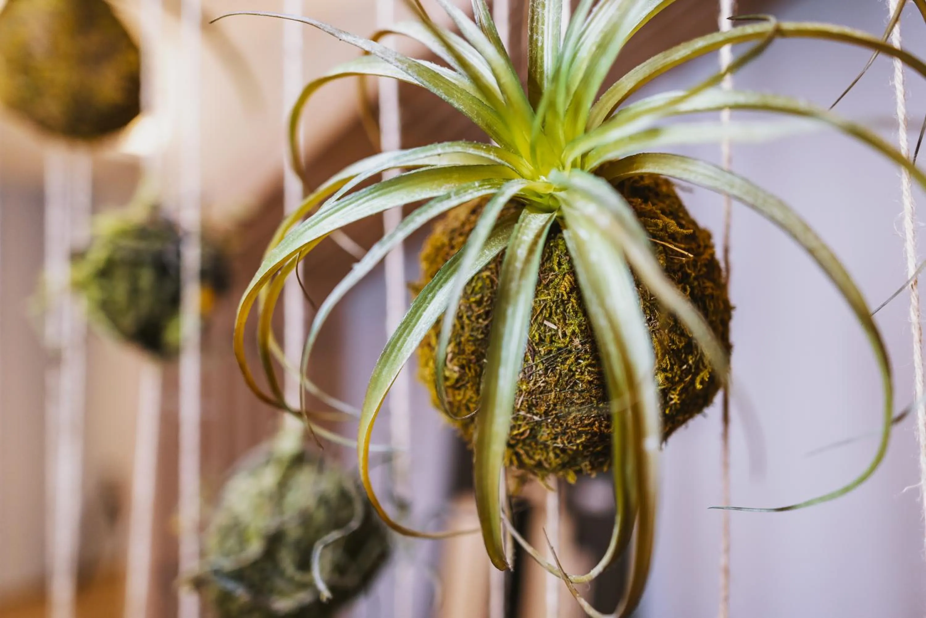 Decorative detail in Elements Resort Zell am See