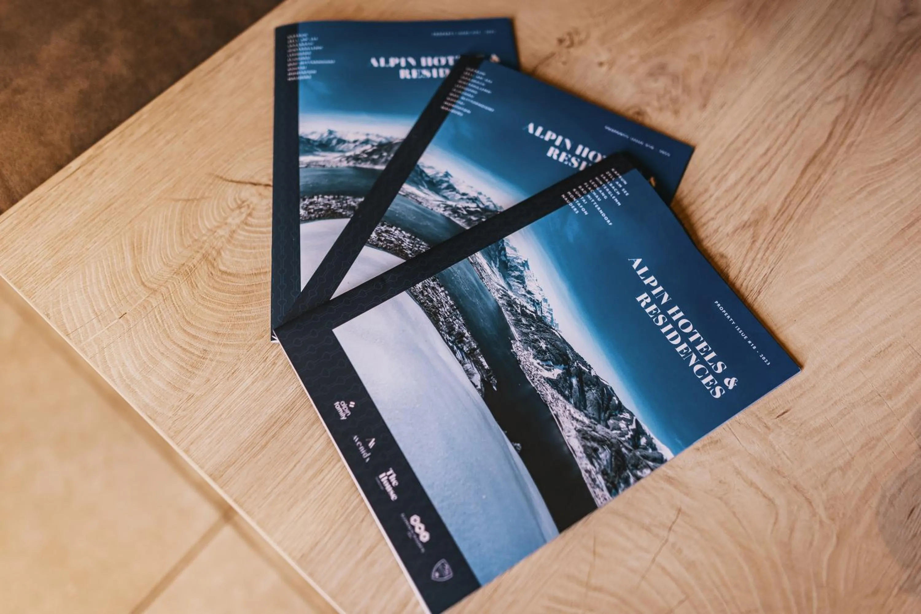 Decorative detail in Elements Resort Zell am See