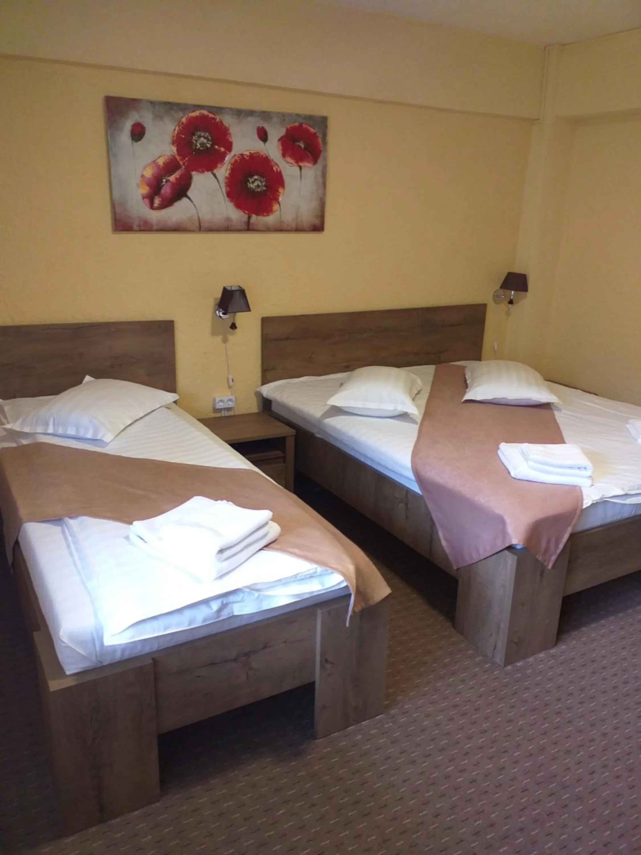 Bed in Cabana Fulg De Nea Predeal